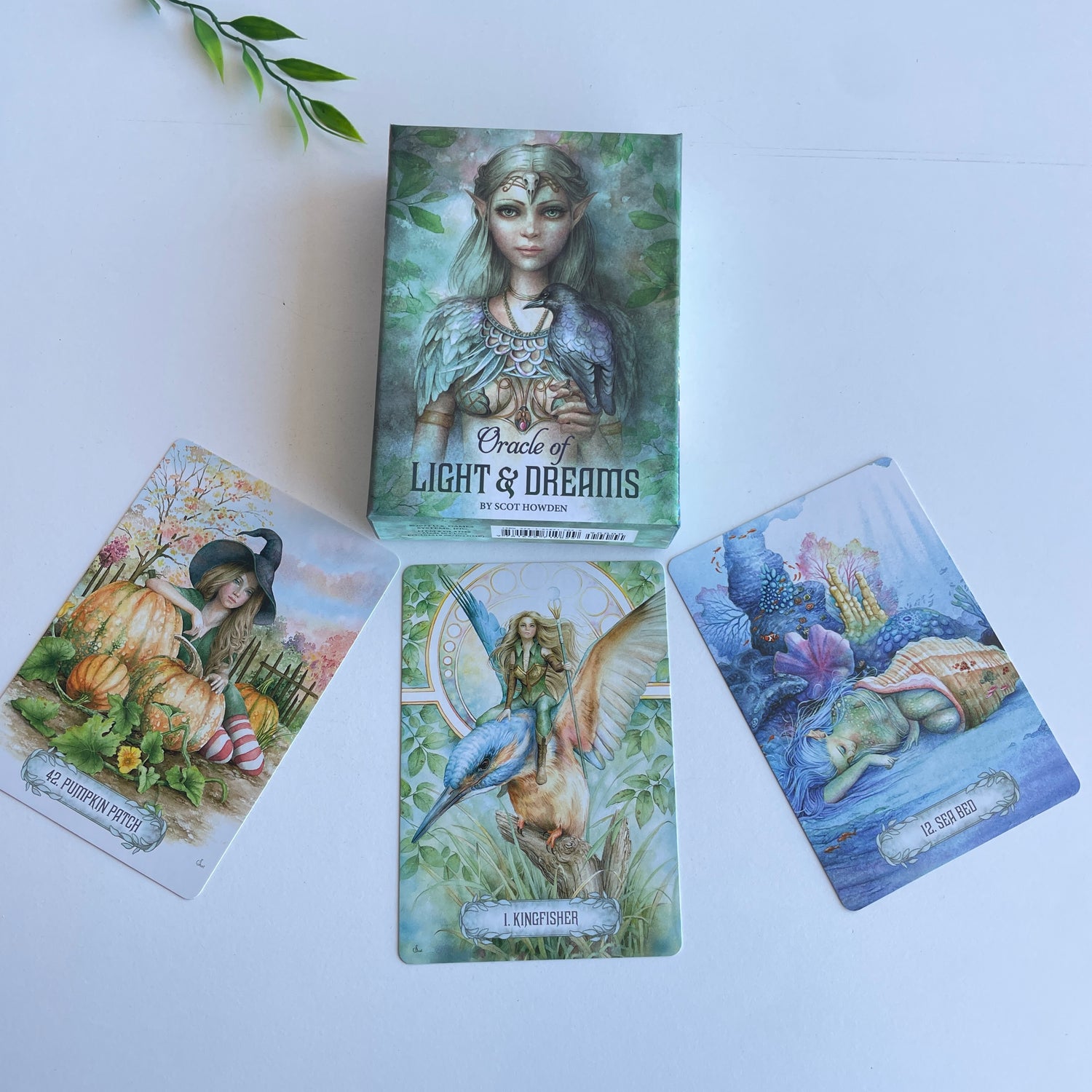 Oracle Of Light And Dreams Scott Howden