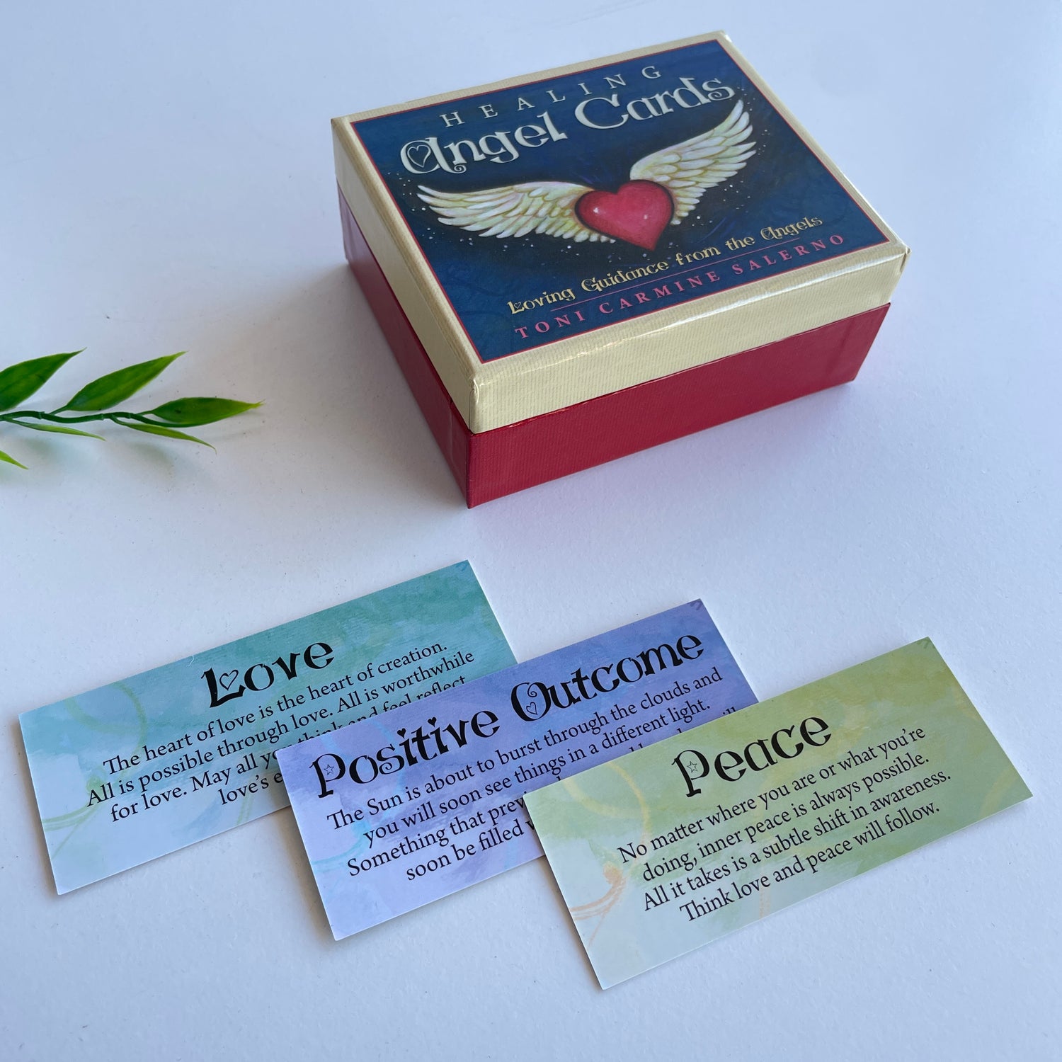 Healing Angel Cards Toni Salerno