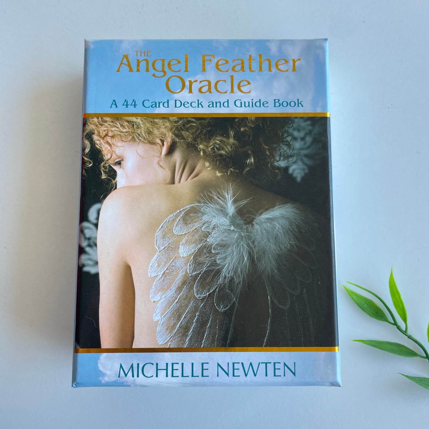Angel Feather Oracle Michelle Newton