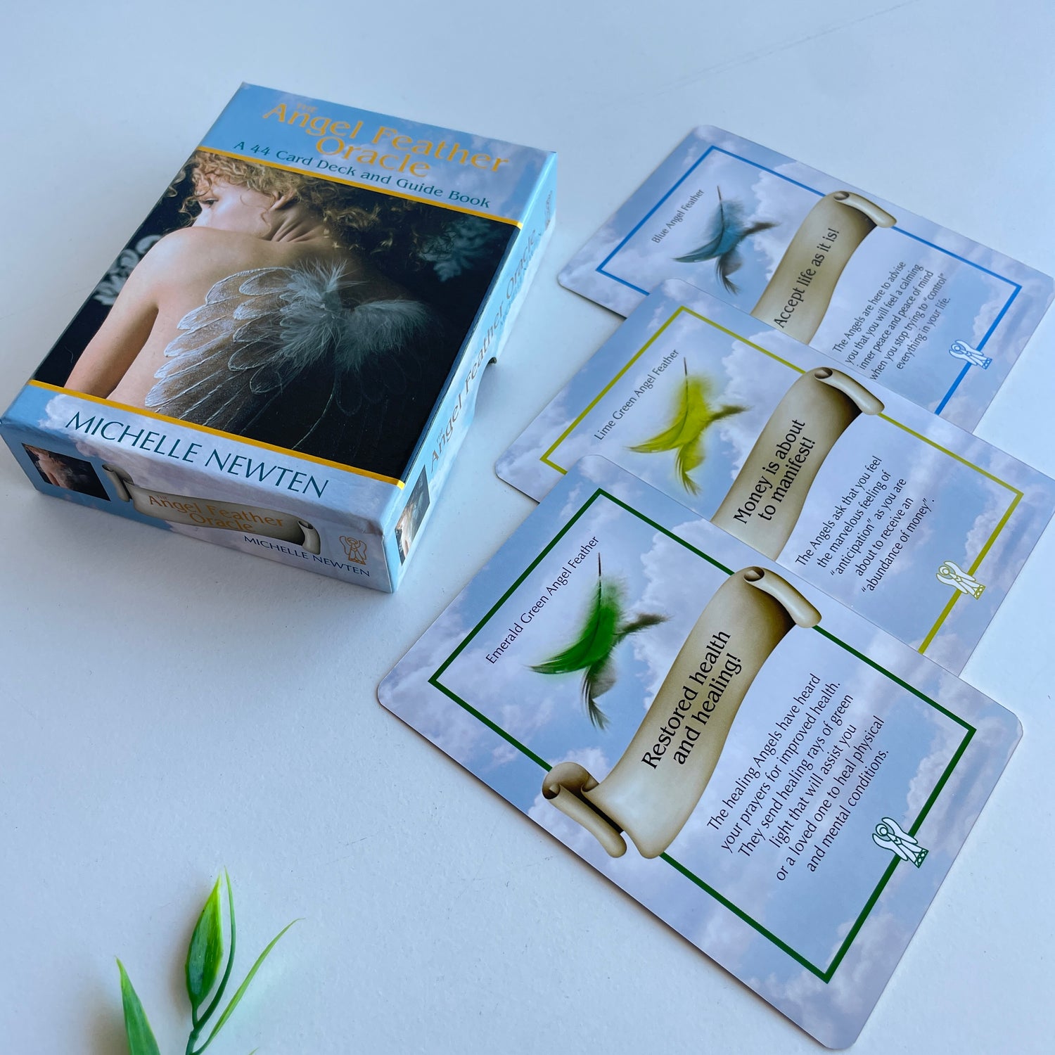 Angel Feather Oracle Michelle Newton