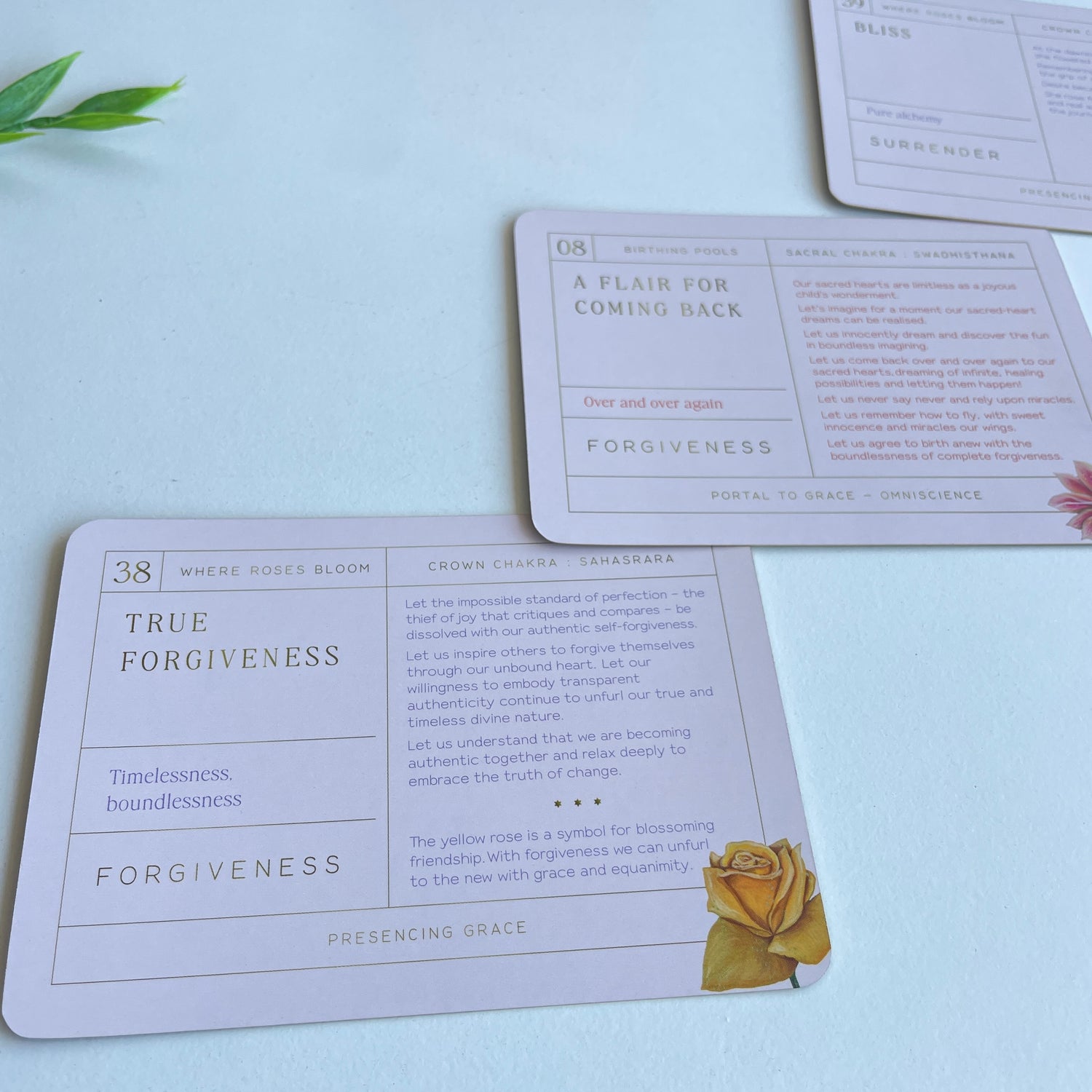 Unfurling Goddess Inspiration Cards Akal Pritam