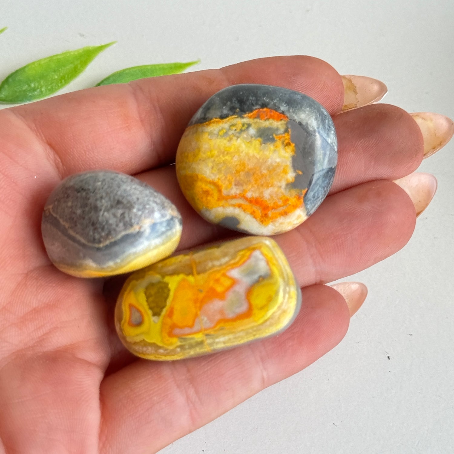Bumblebee Jasper Tumbled