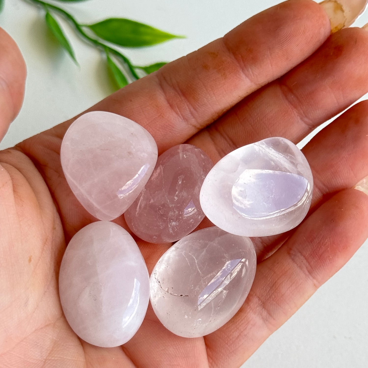 Rose Quartz Tumbled