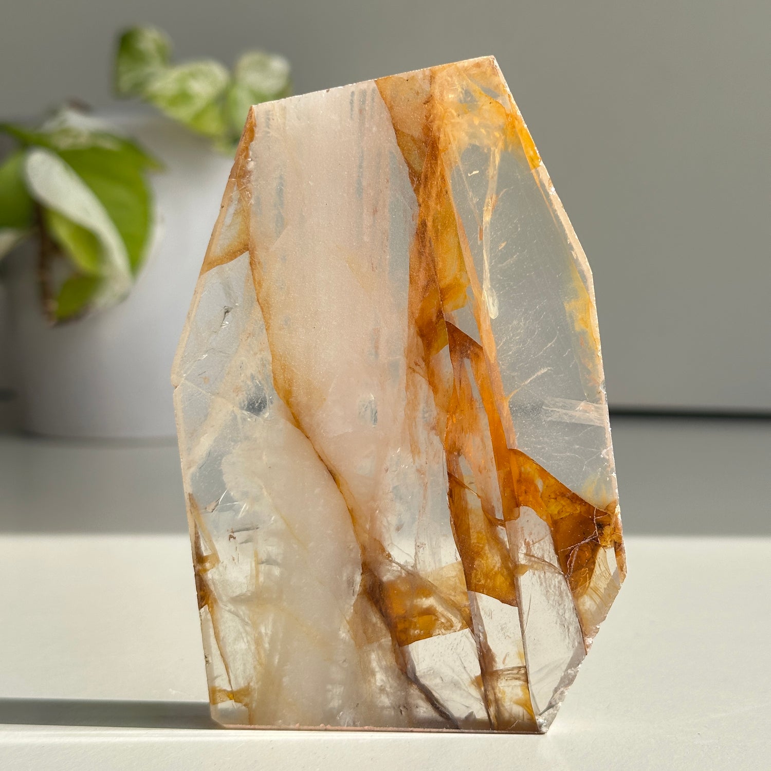 Golden Healer Quartz Slice 186g