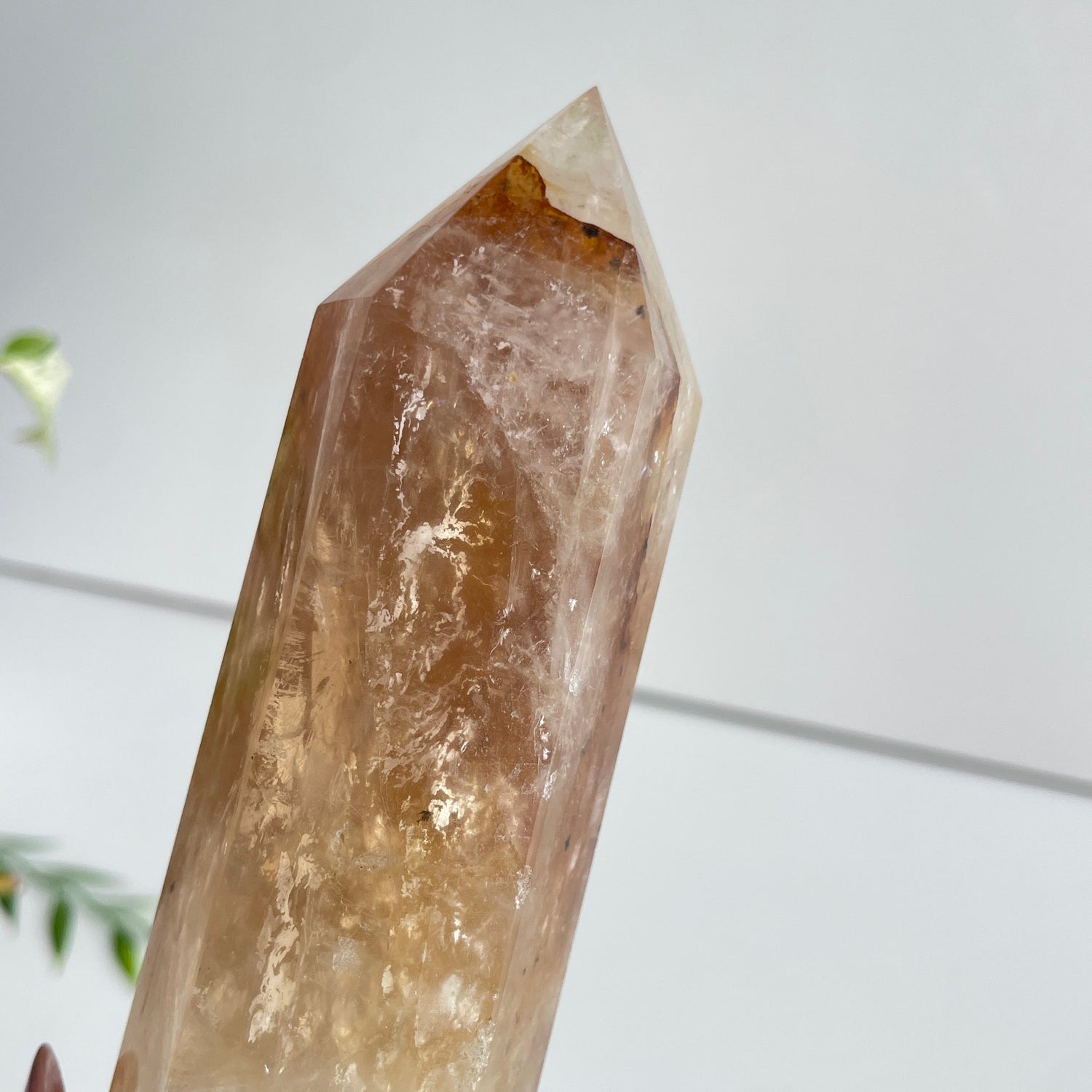 Golden Healer Quartz 22.6cm