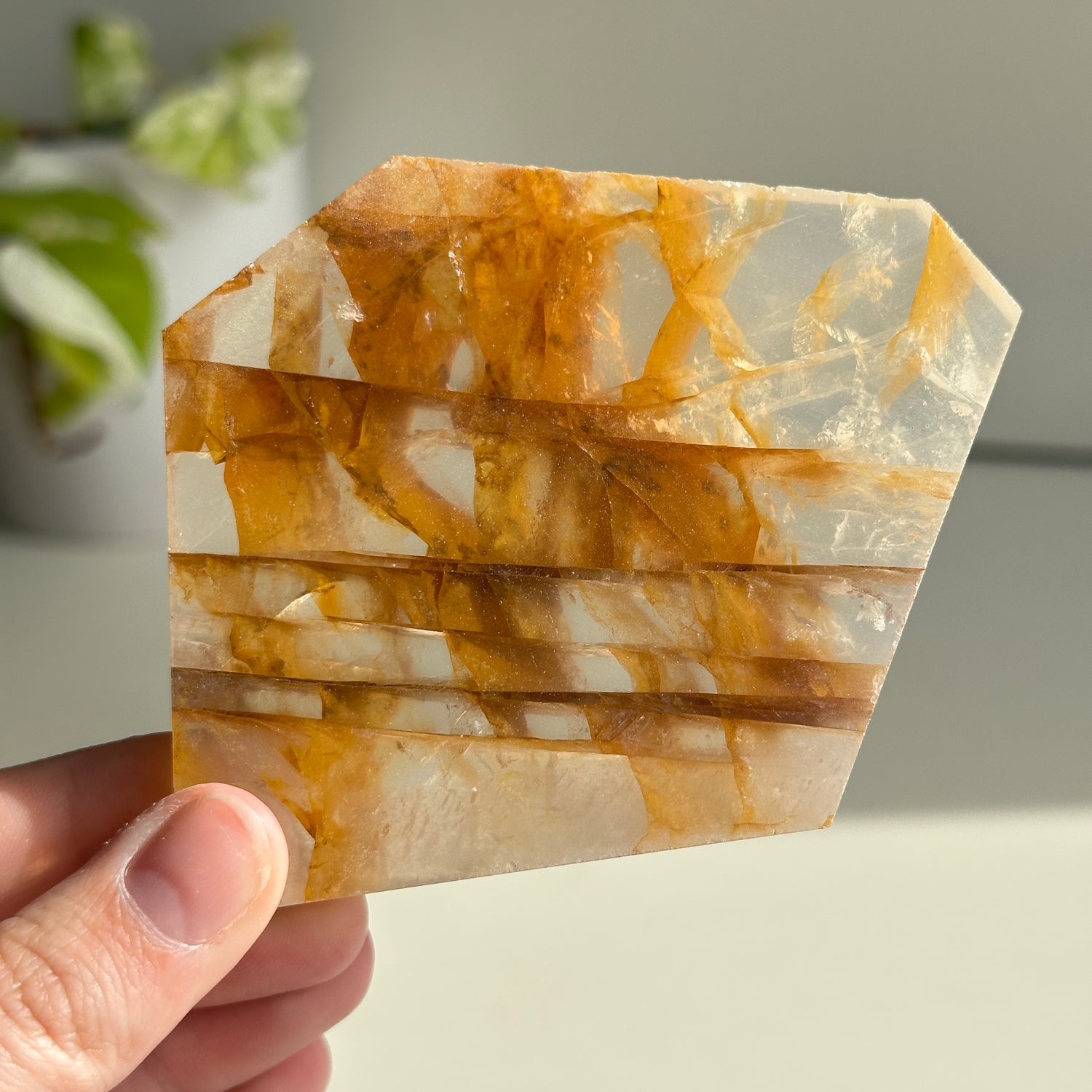 Golden Healer Quartz Slice 122g