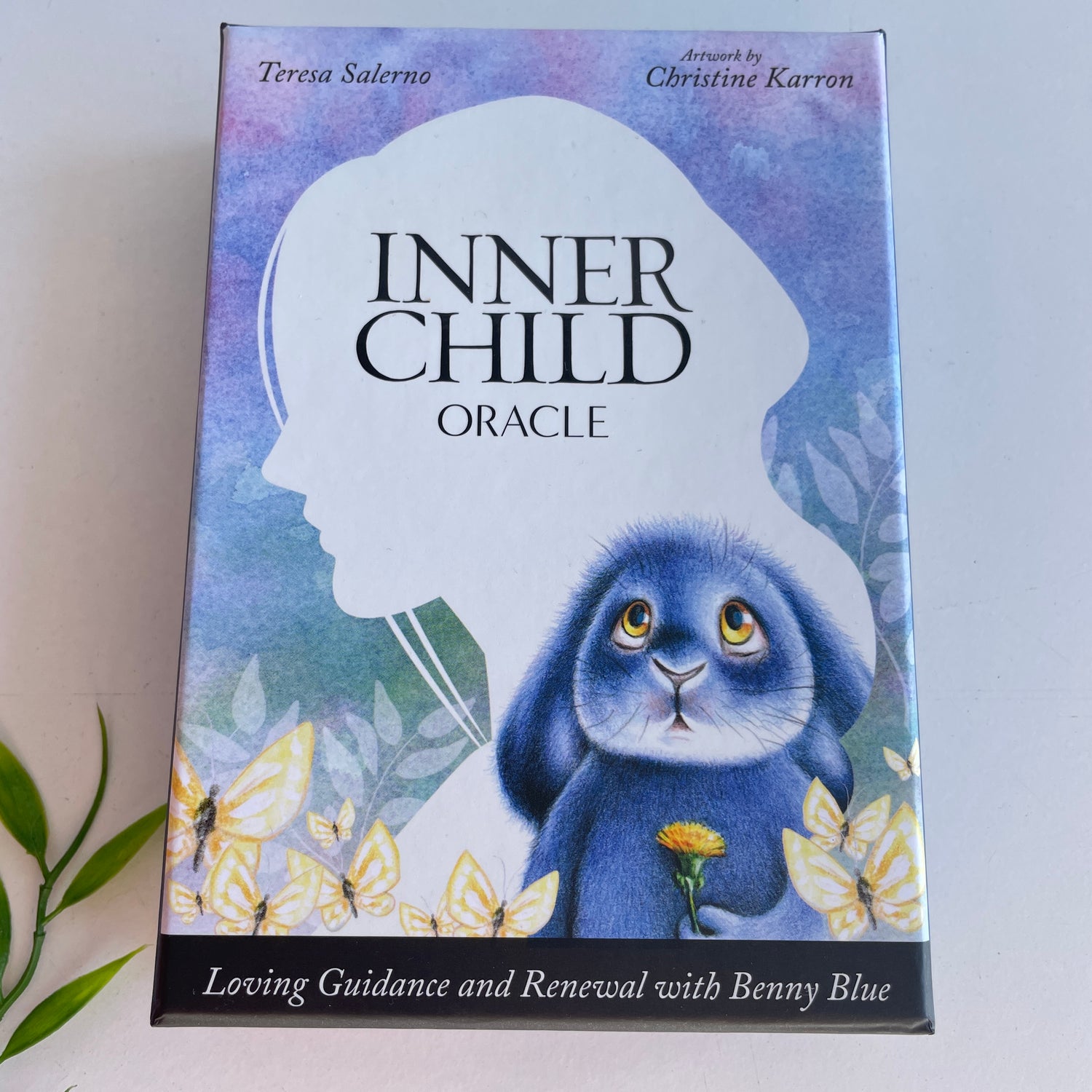 Inner Child Oracle Cards Teresa Salerno