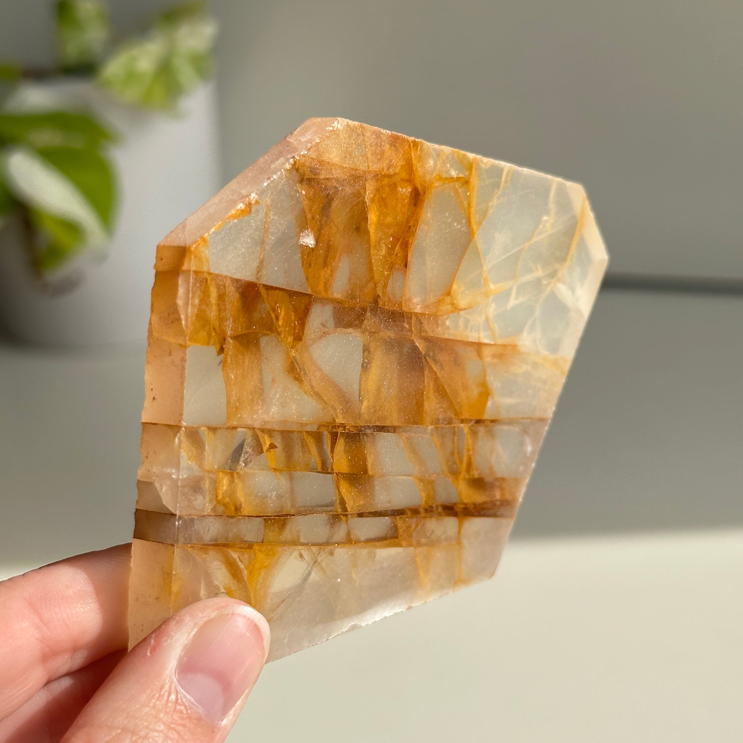 Golden Healer Quartz Slice 122g