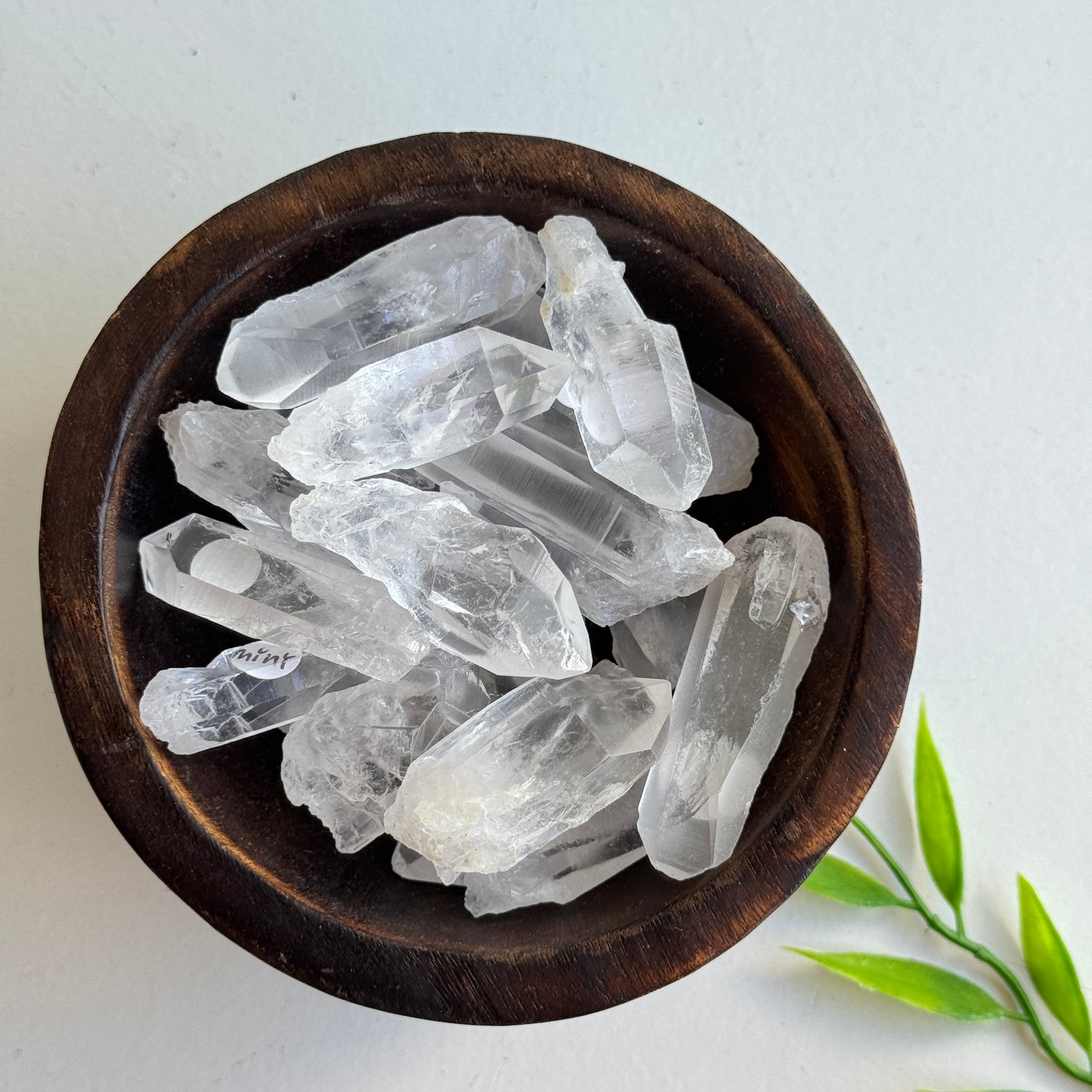 Lemurian Point Mini