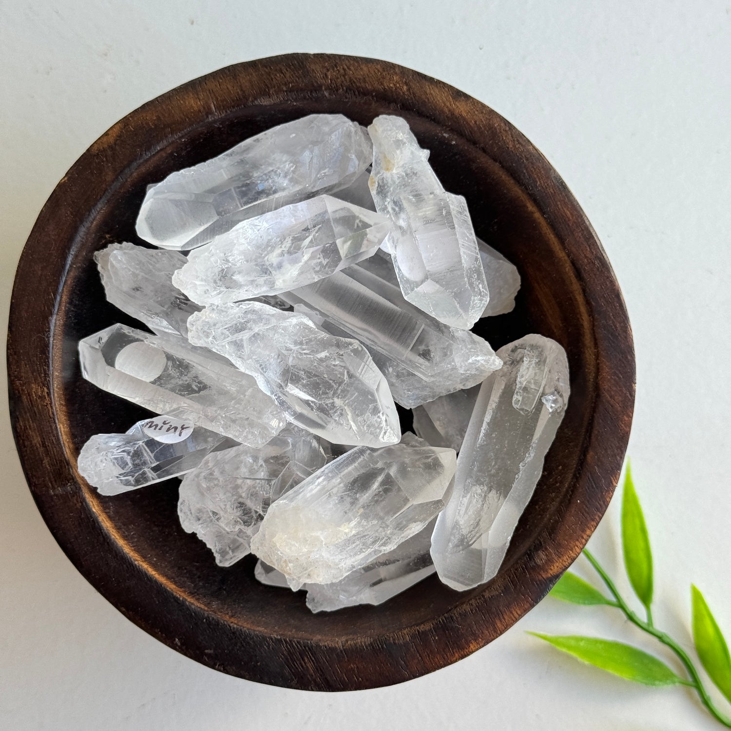 Lemurian Point Mini