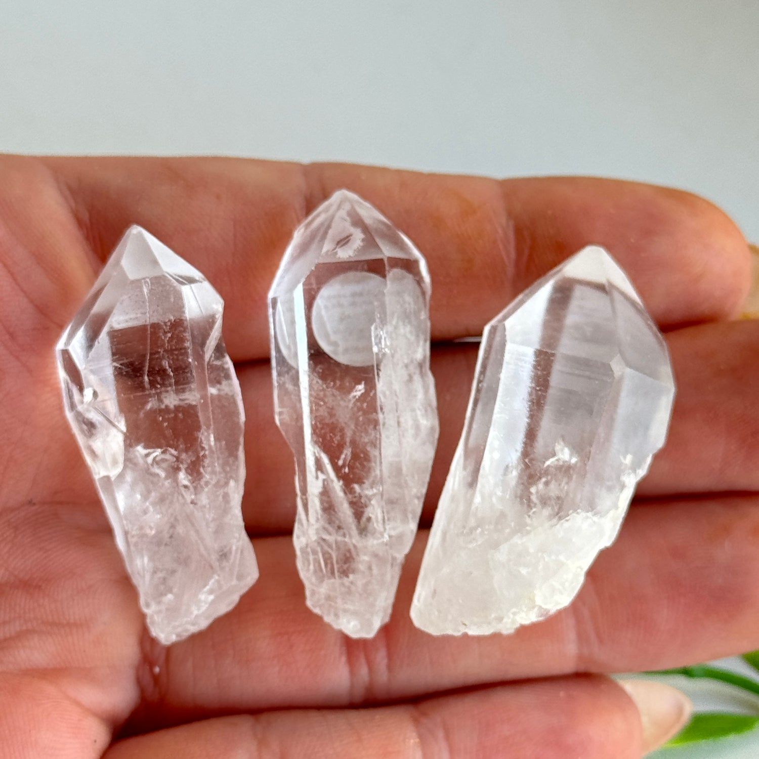 Lemurian Point Mini
