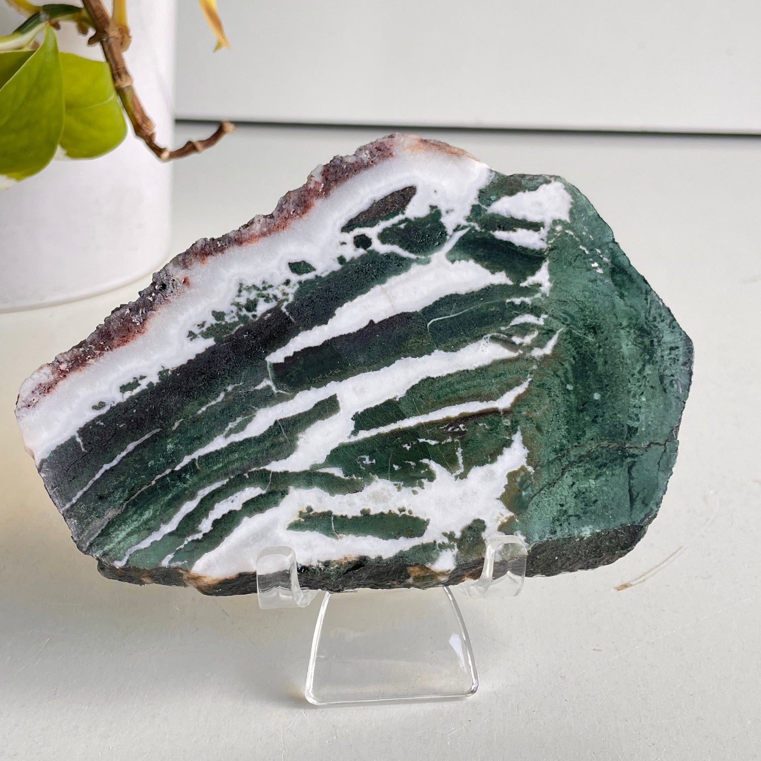 Green Sardonyx Slice 174g