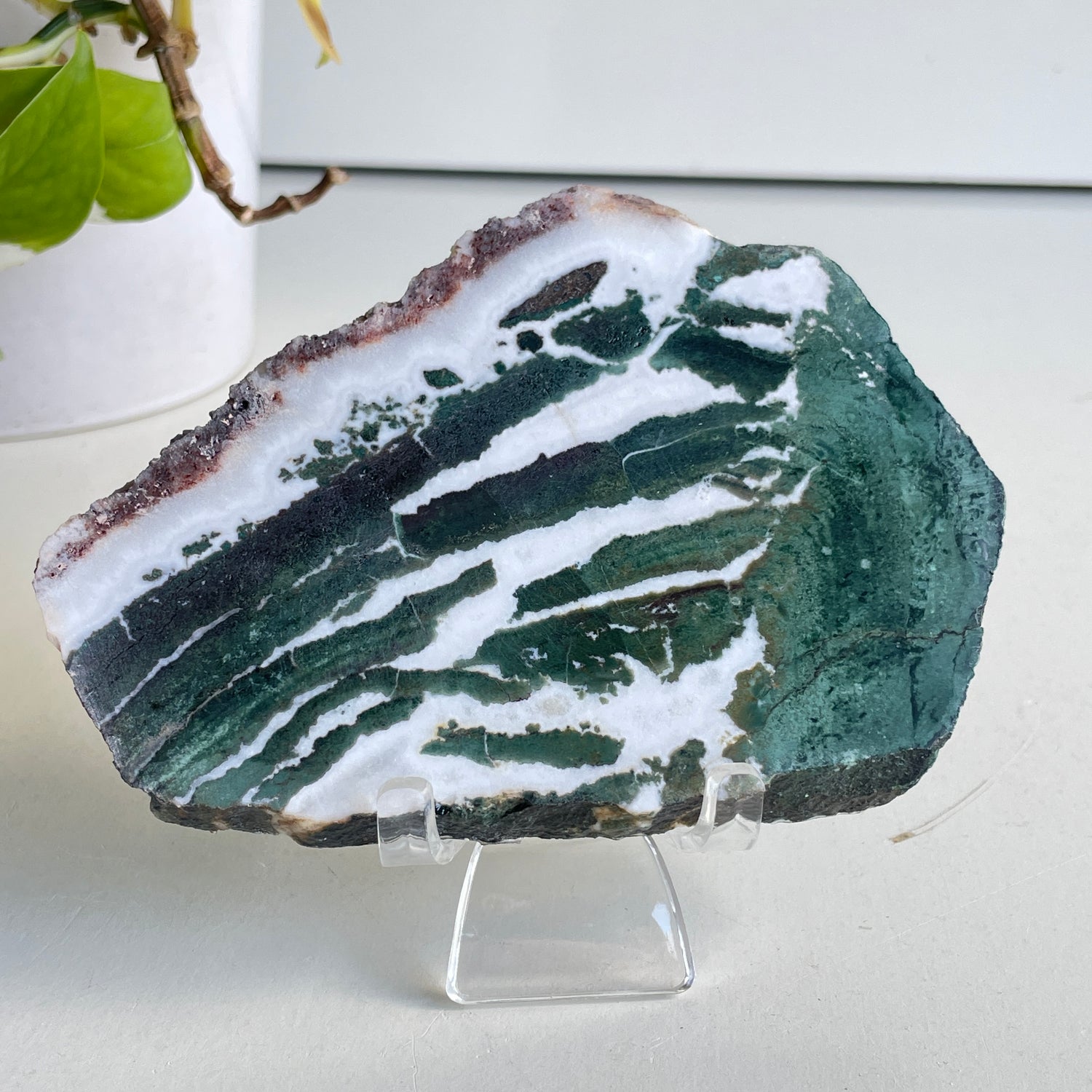 Green Sardonyx Slice 174g