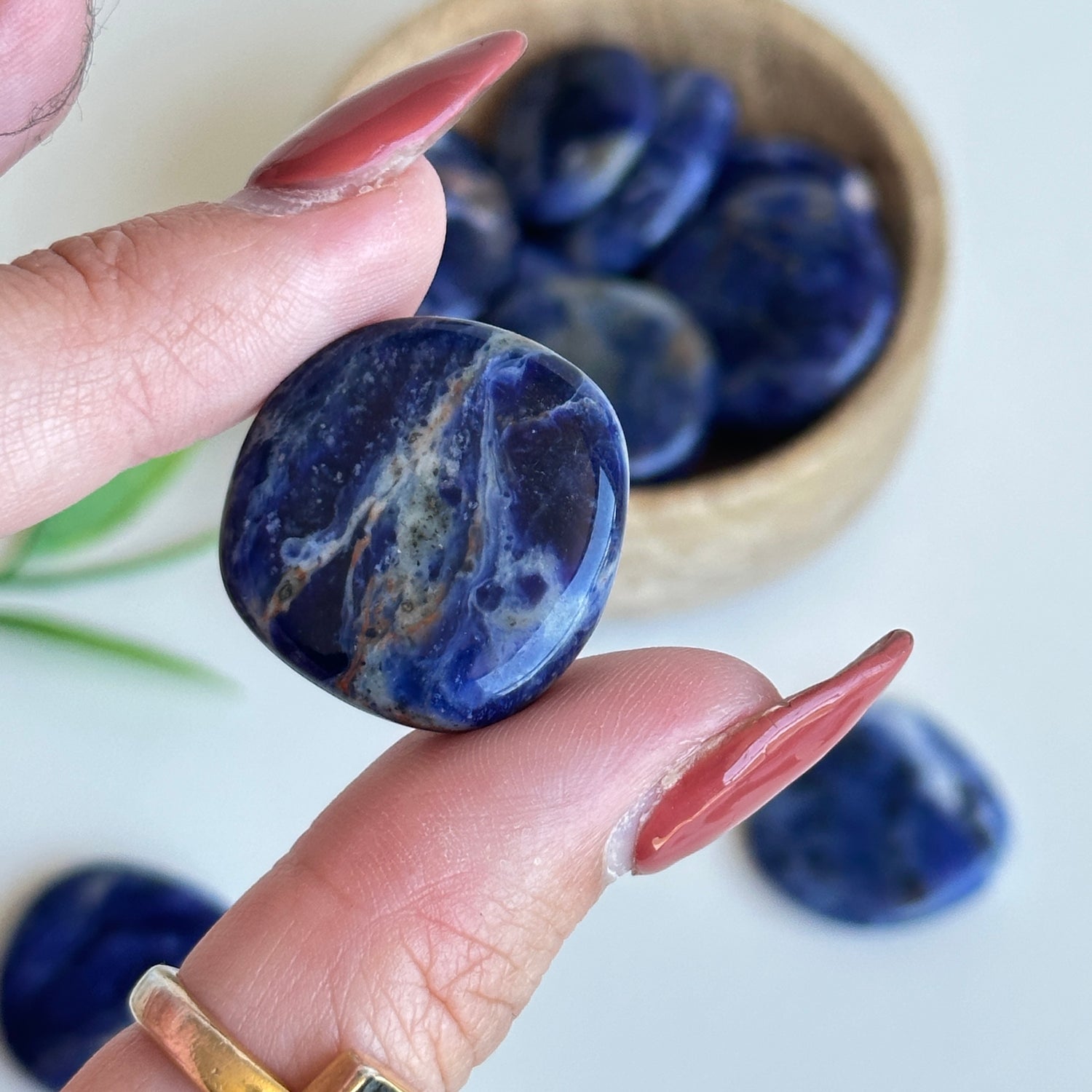 Sodalite Flat Stone Bra Buddy