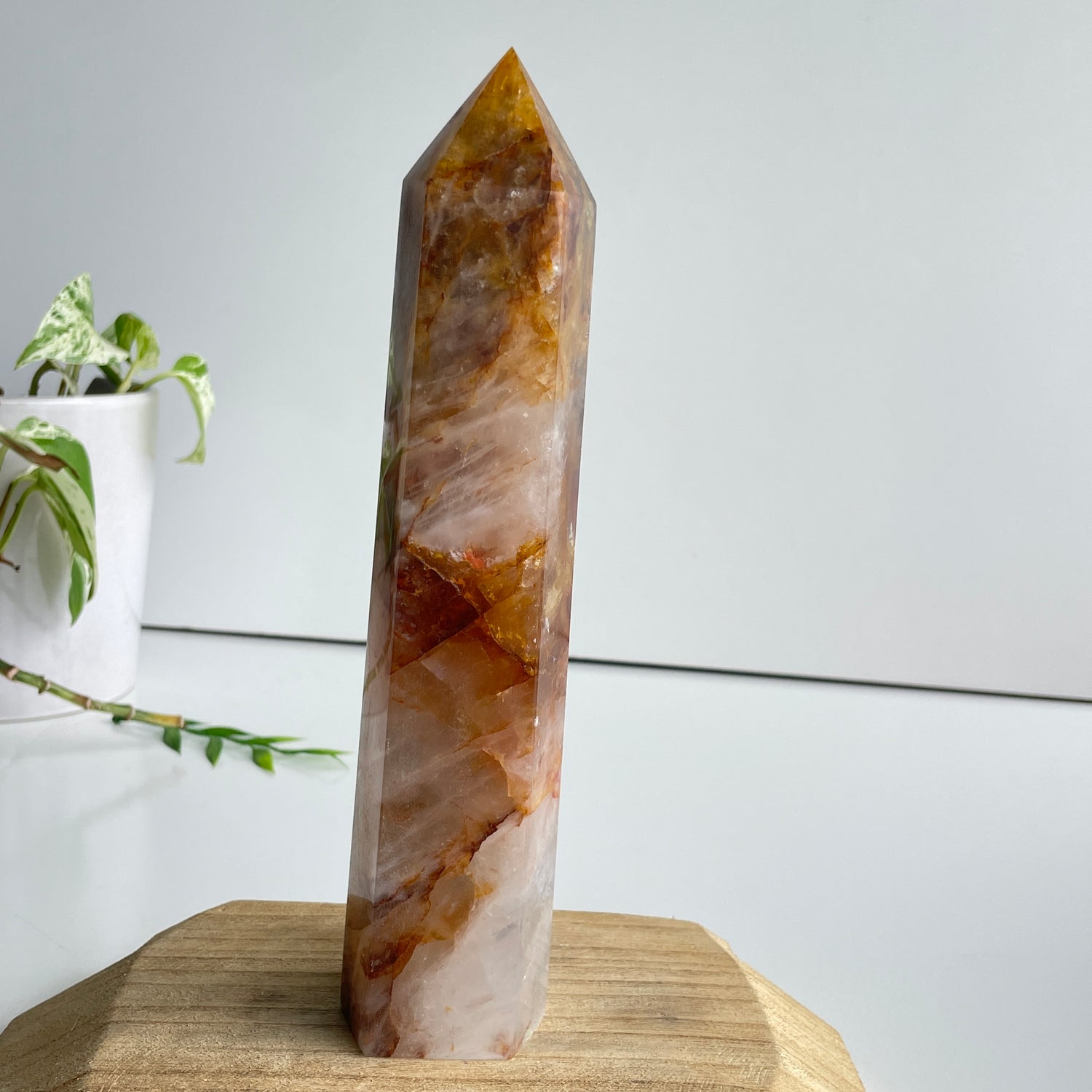 Golden Healer Quartz 21.9cm