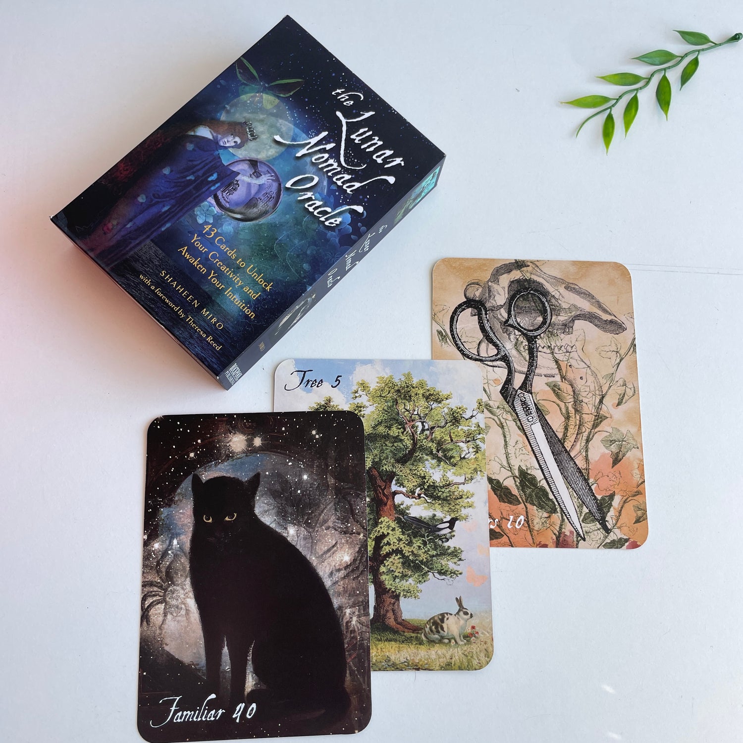 The Lunar Nomad Oracle Shaheen Miro