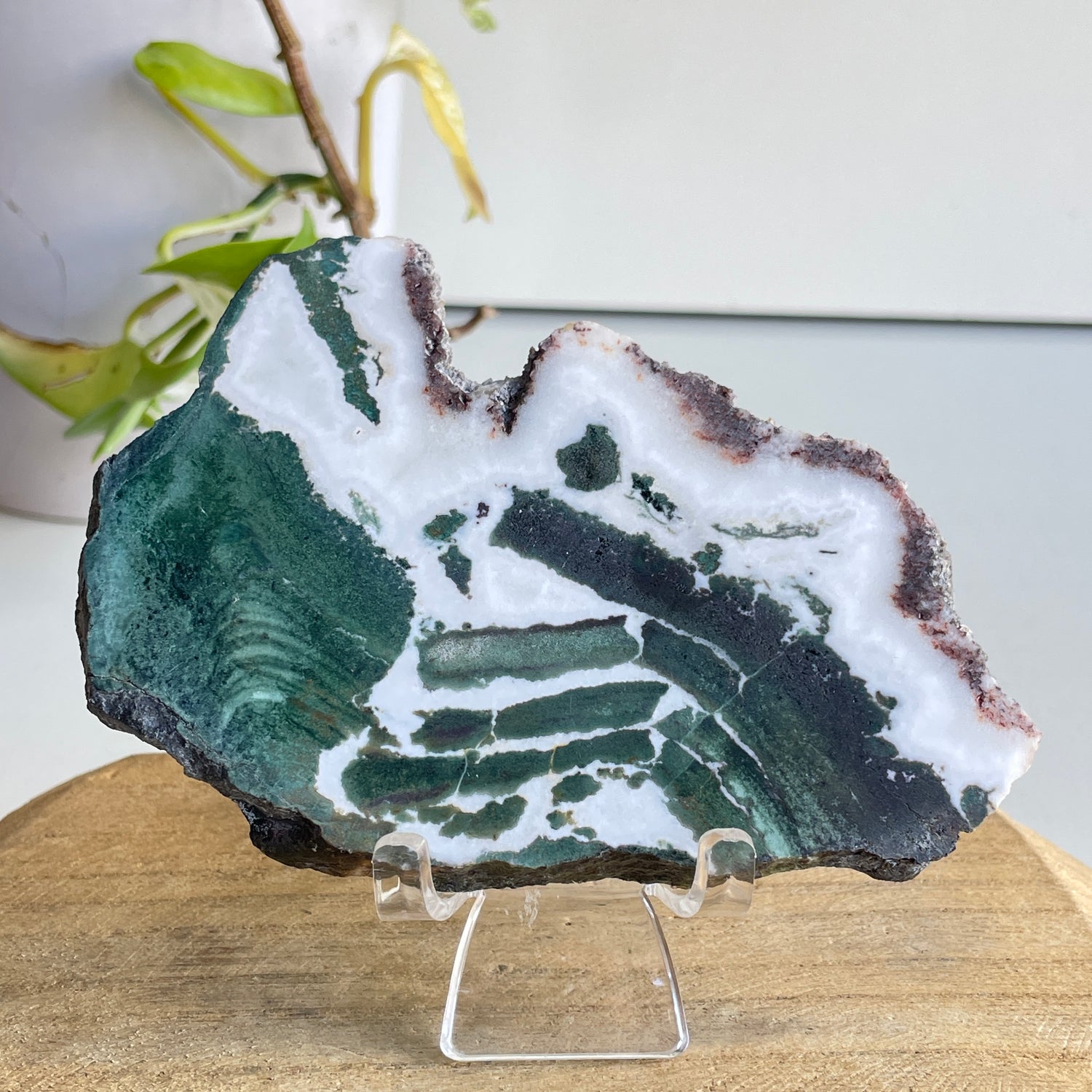 Green Sardonyx Slice 164g