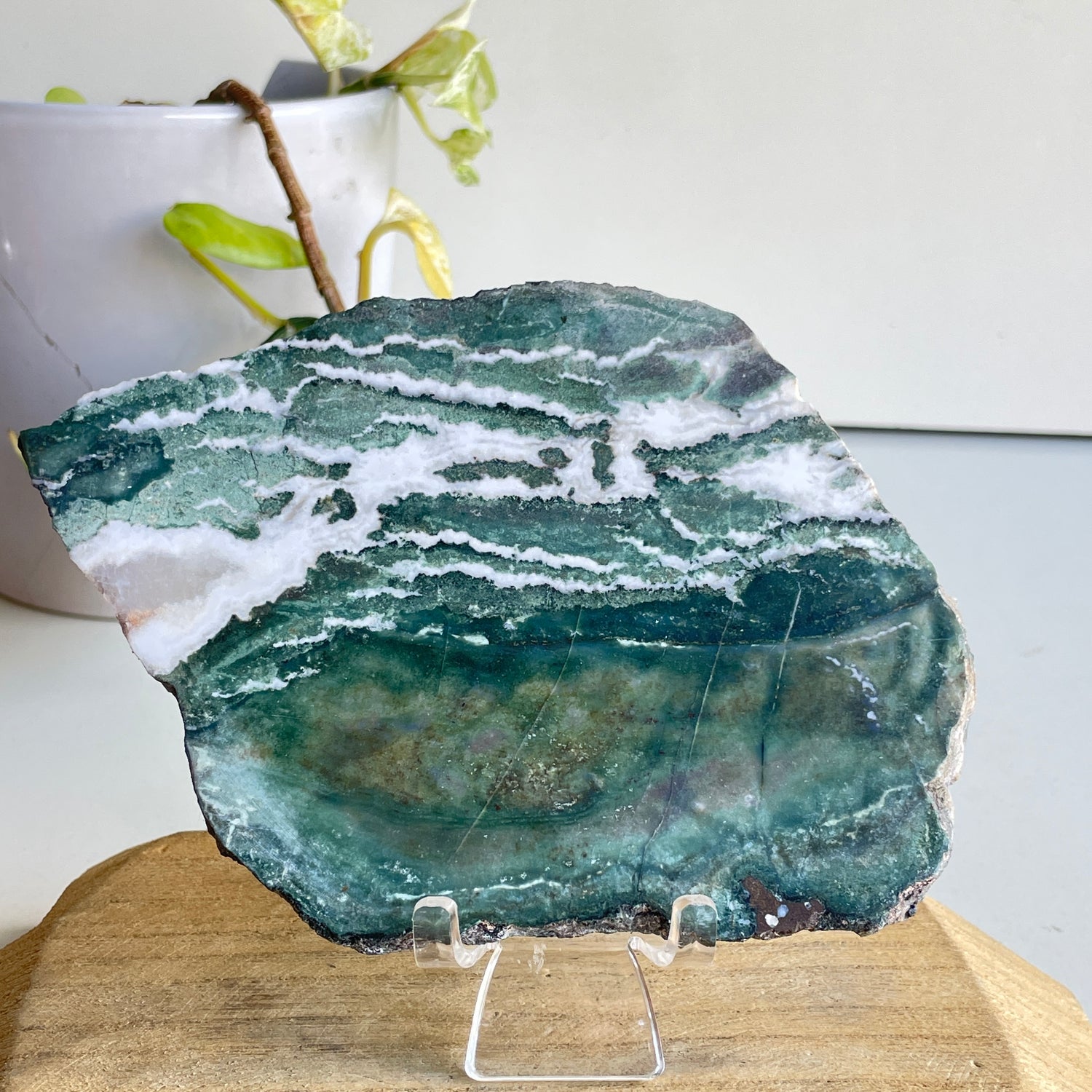 Green Sardonyx Slice 302g