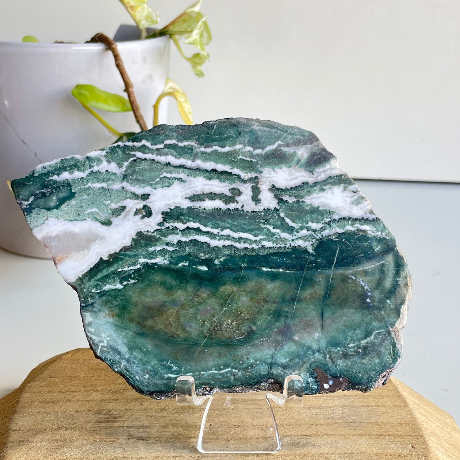 Green Sardonyx Slice 302g