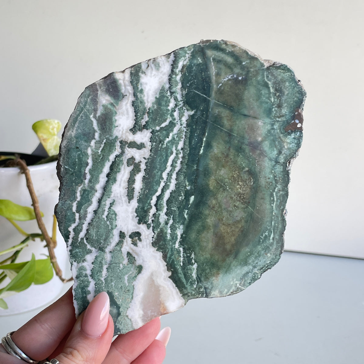 Green Sardonyx Slice 302g