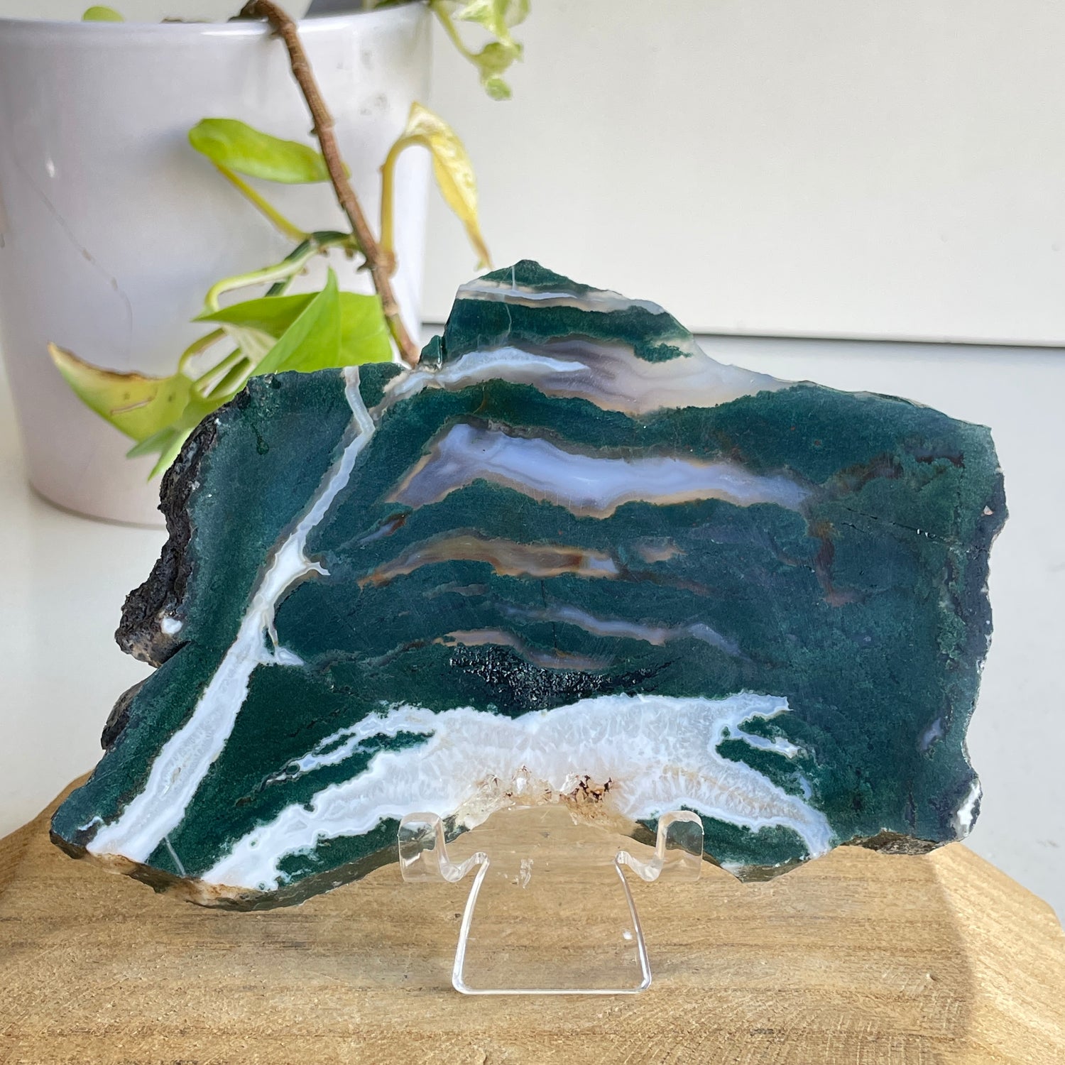Green Sardonyx Slice 278g