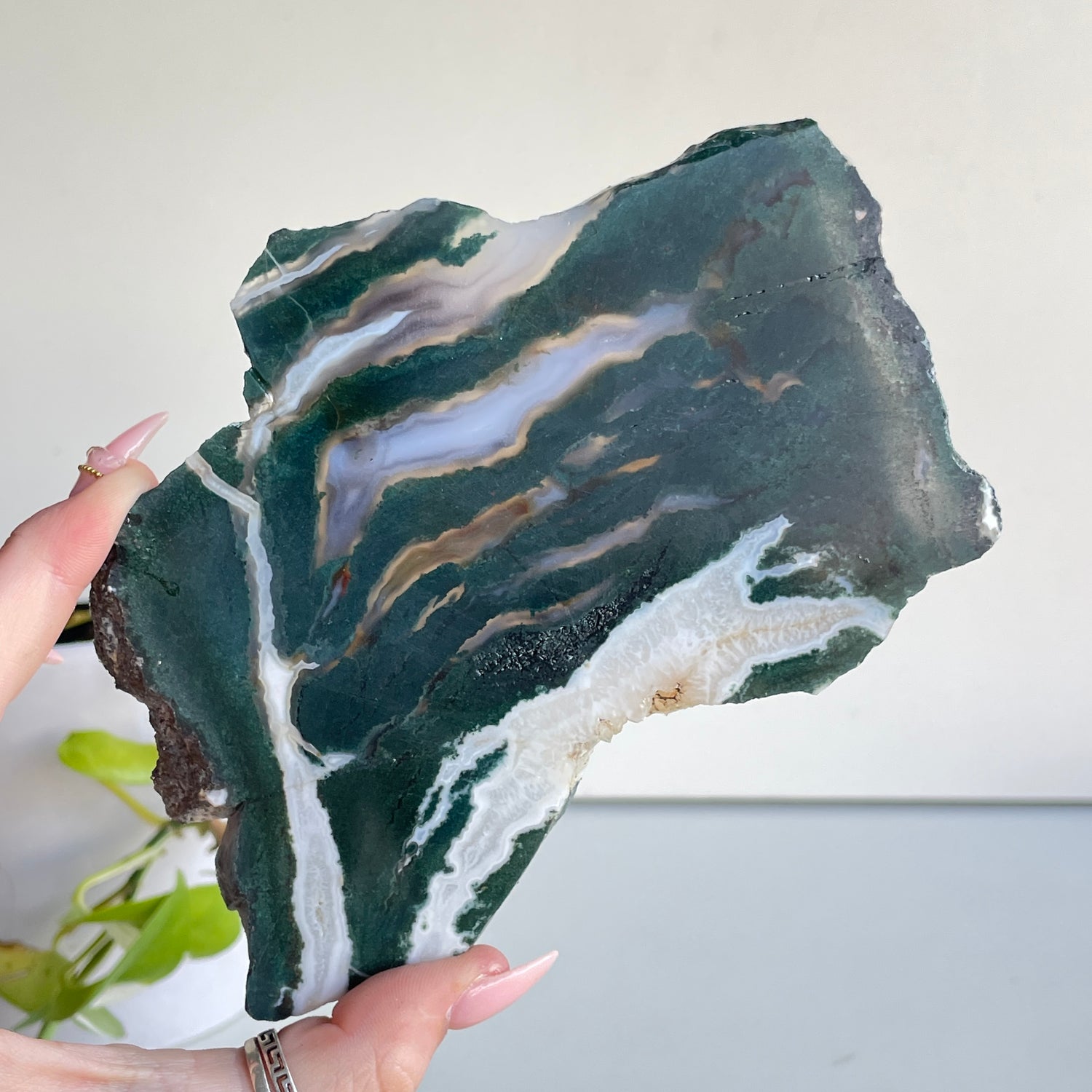 Green Sardonyx Slice 278g