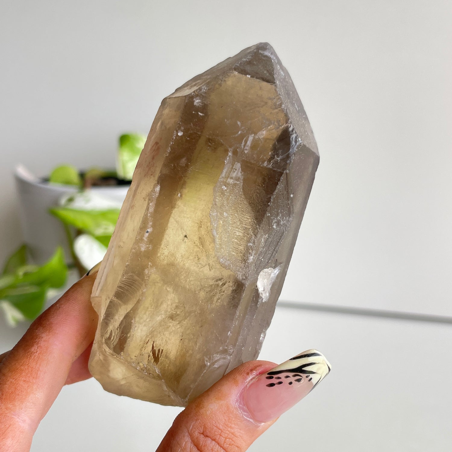 Smoky Quartz Natural Point 214g
