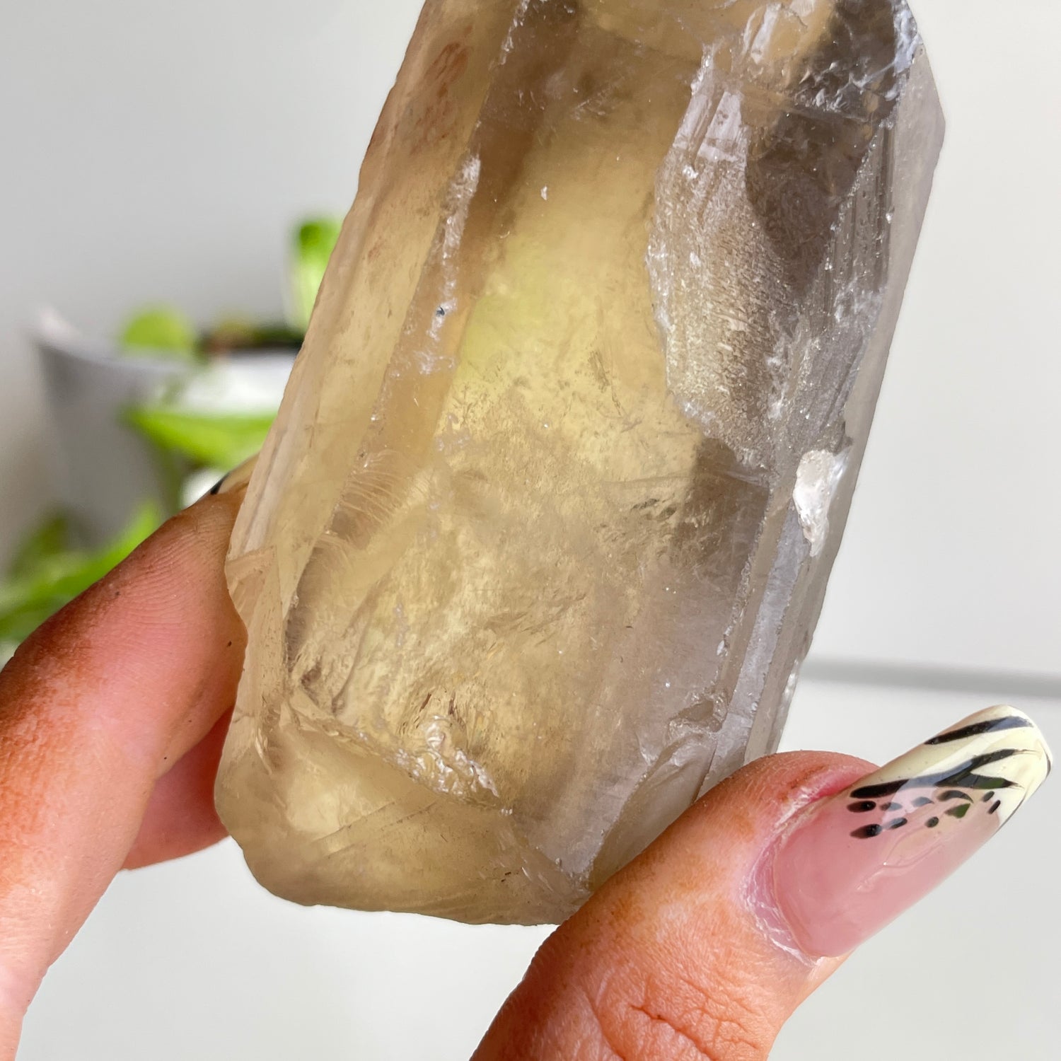 Smoky Quartz Natural Point 214g