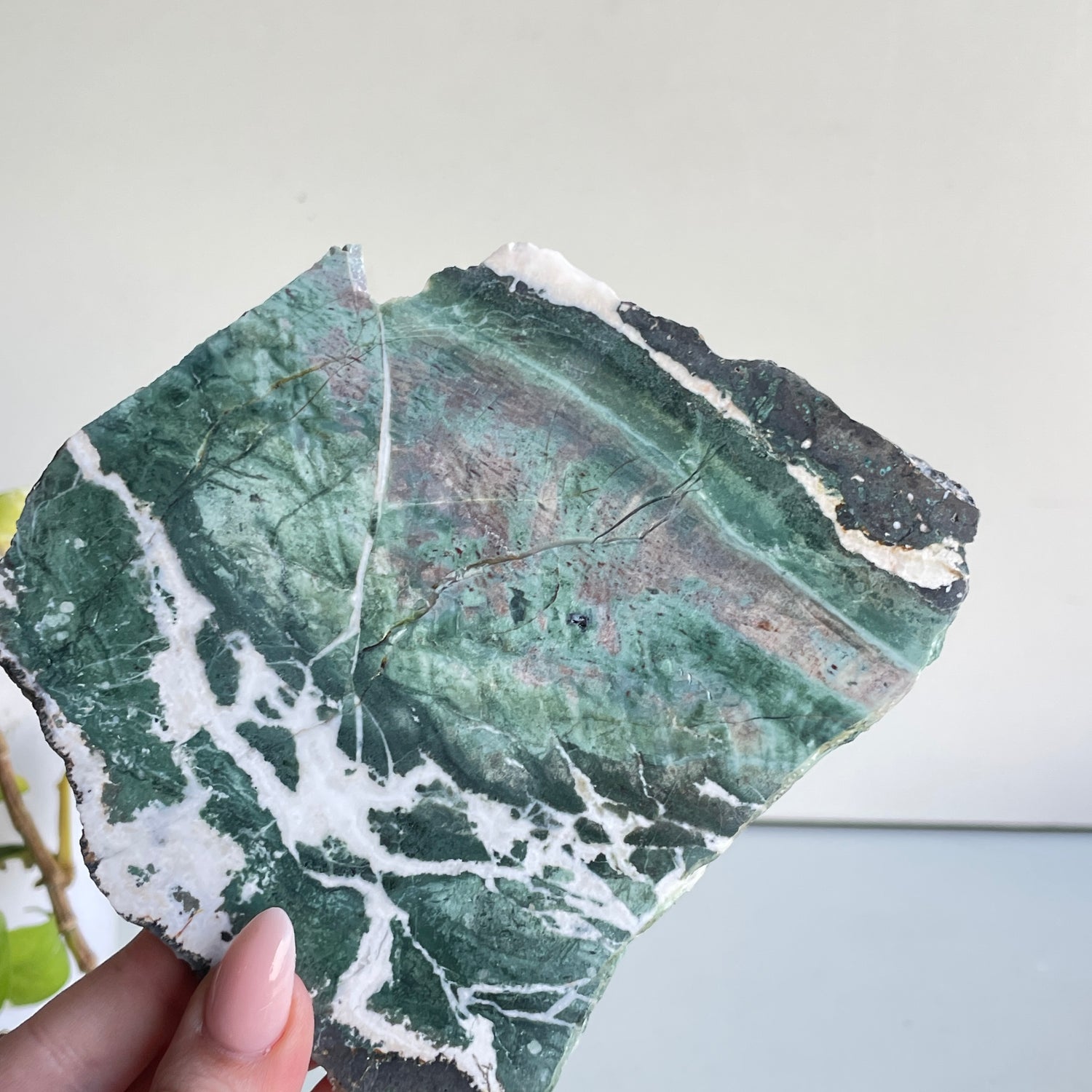 Green Sardonyx Slice 304g