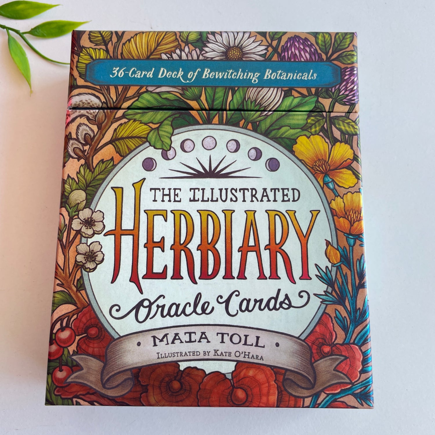 The Illustrated Herbiary Oracle Cards