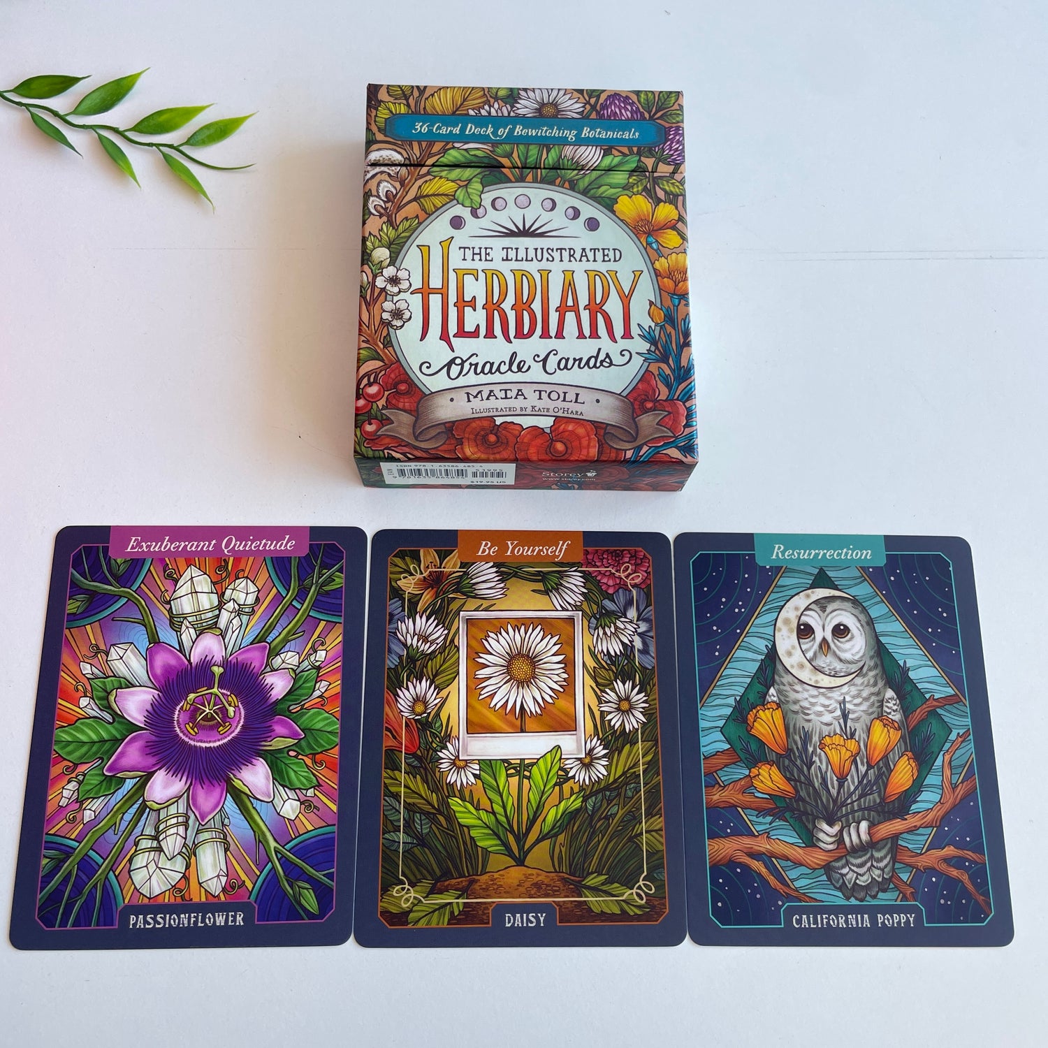 The Illustrated Herbiary Oracle Cards