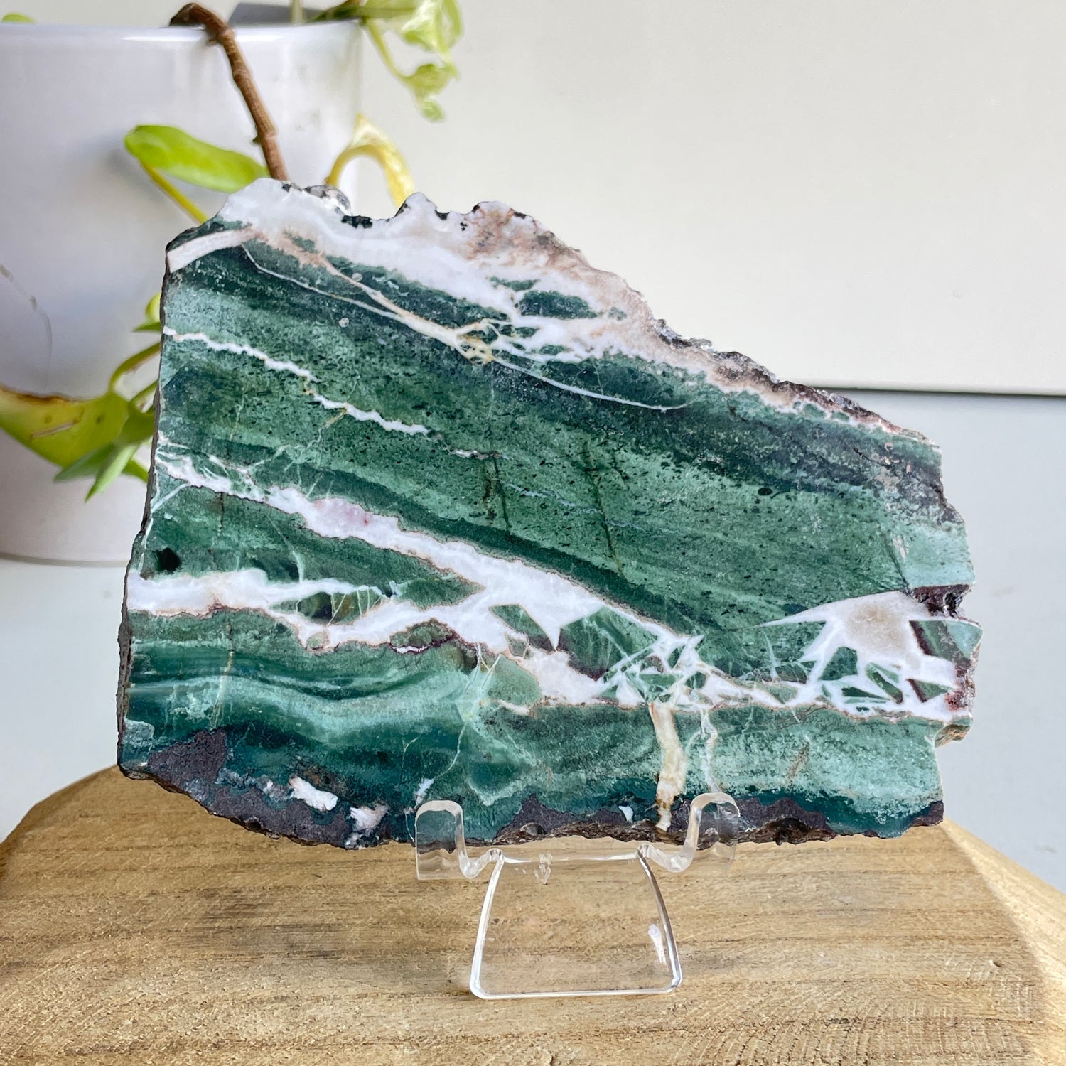 Green Sardonyx Slice 260g