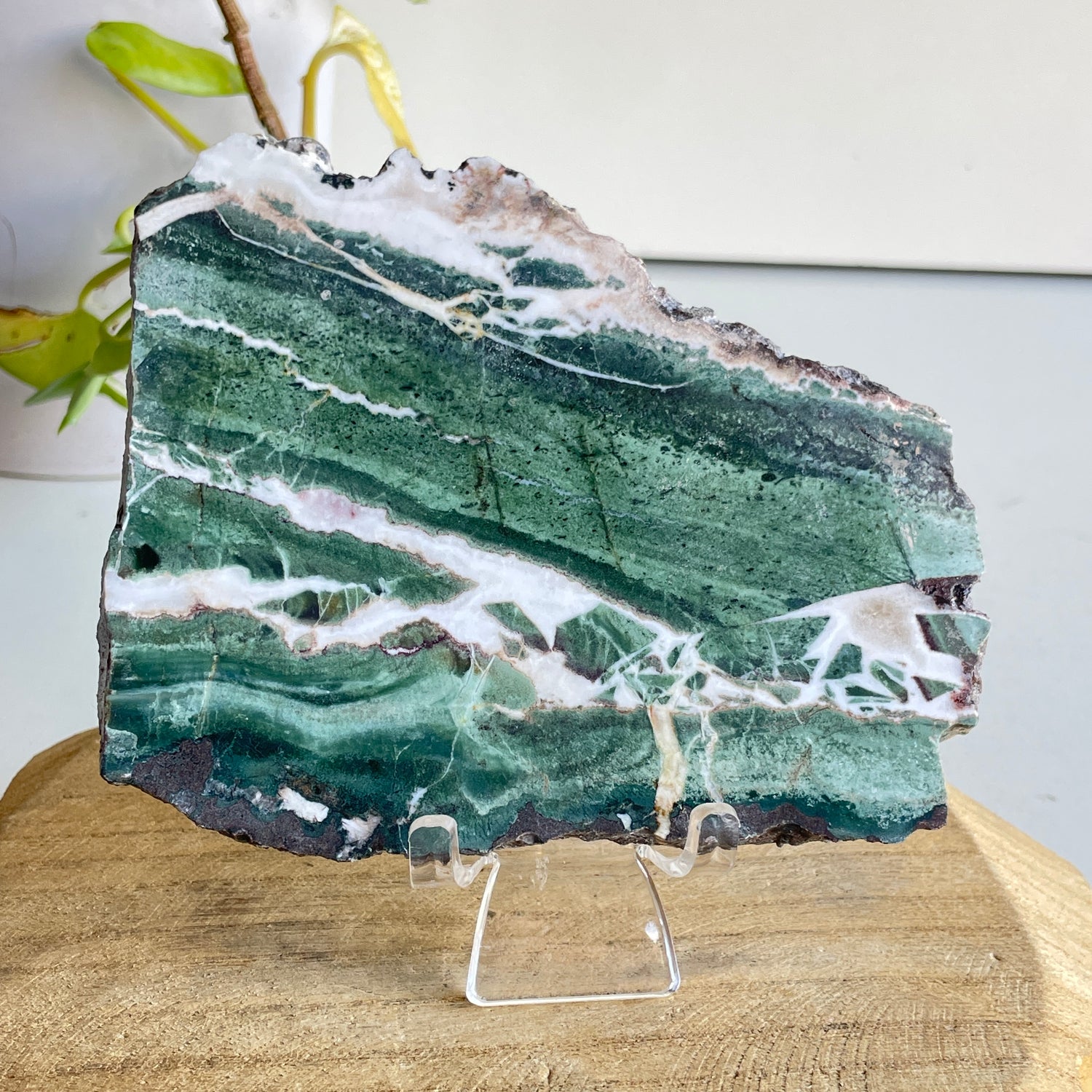 Green Sardonyx Slice 260g