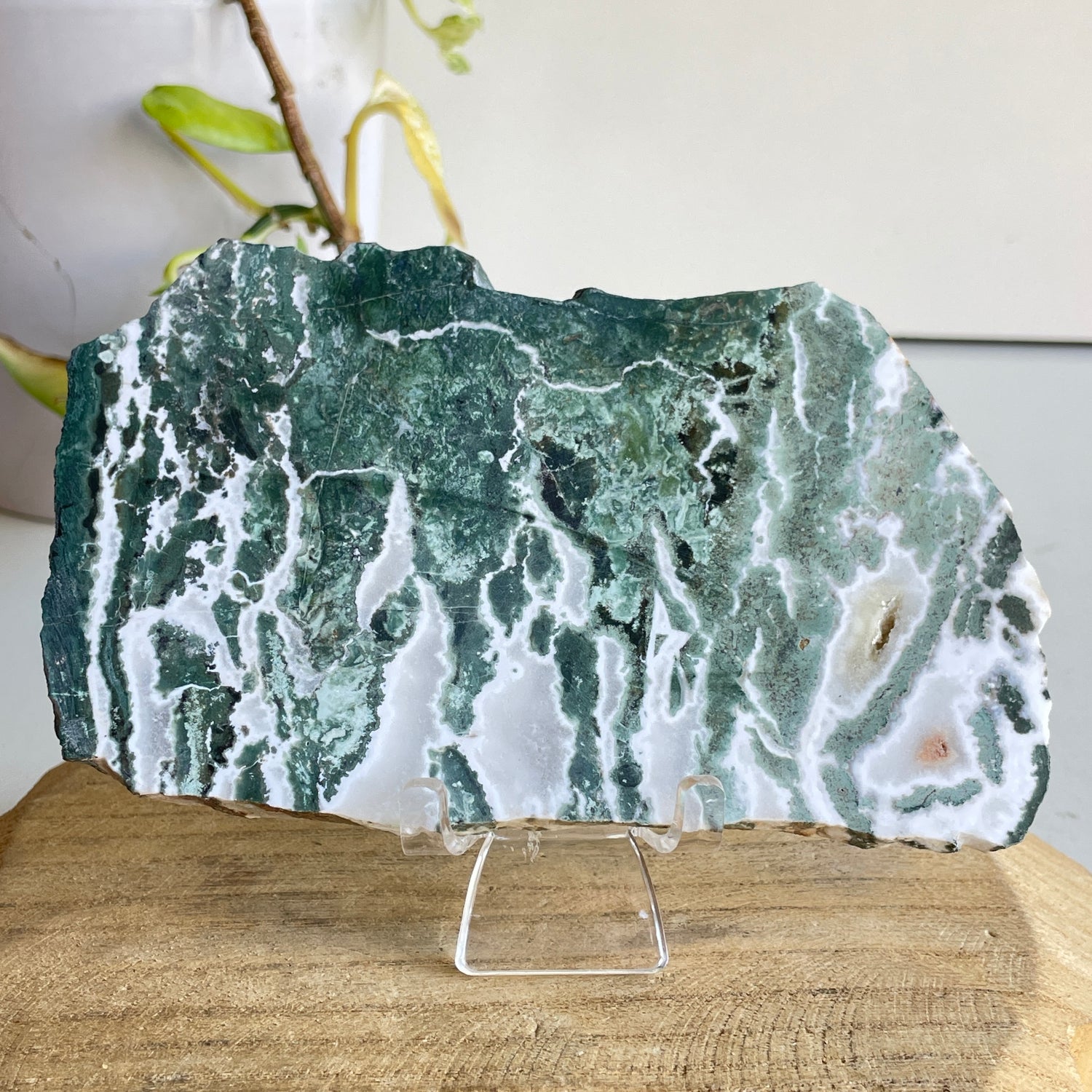 Green Sardonyx Slice 260g