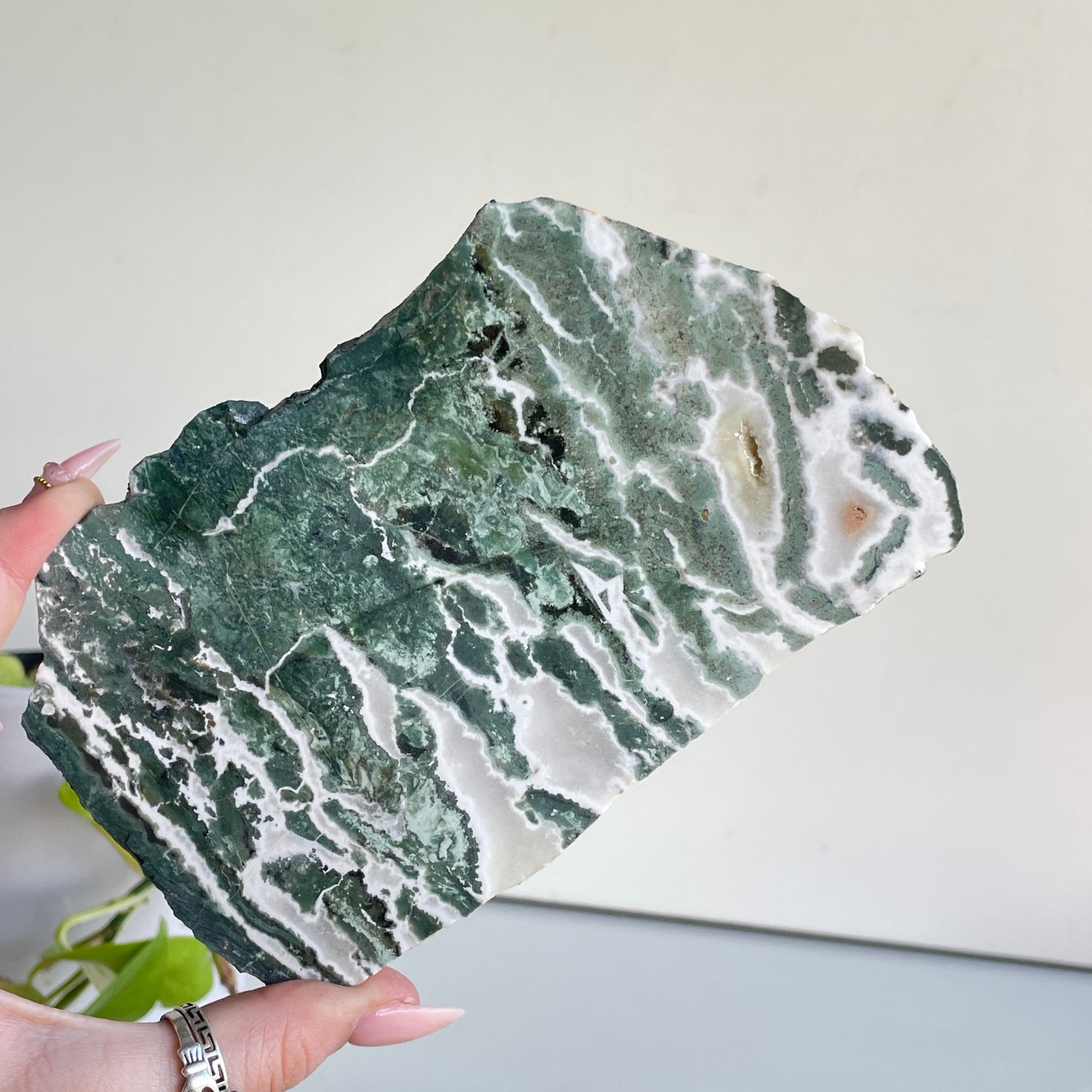 Green Sardonyx Slice 260g
