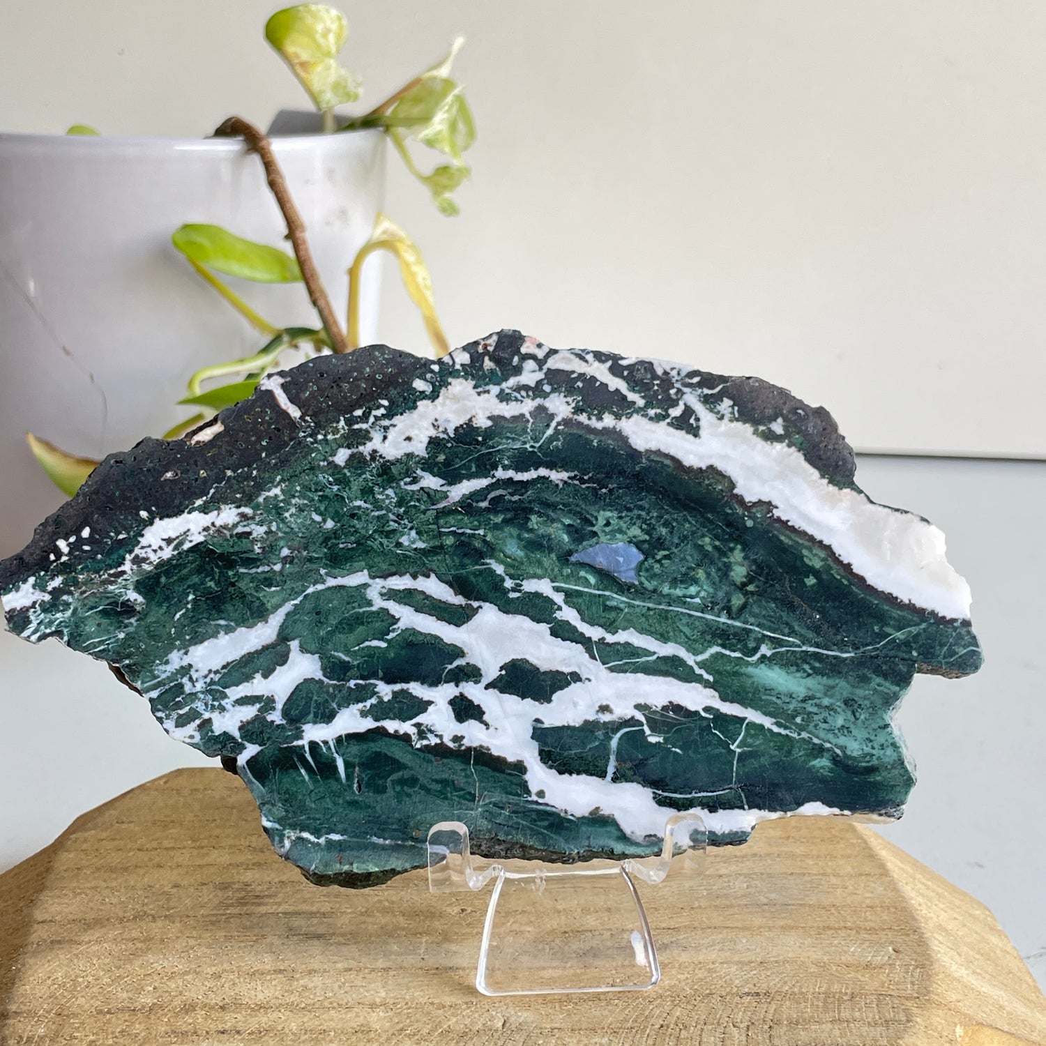 Green Sardonyx Slice 298g