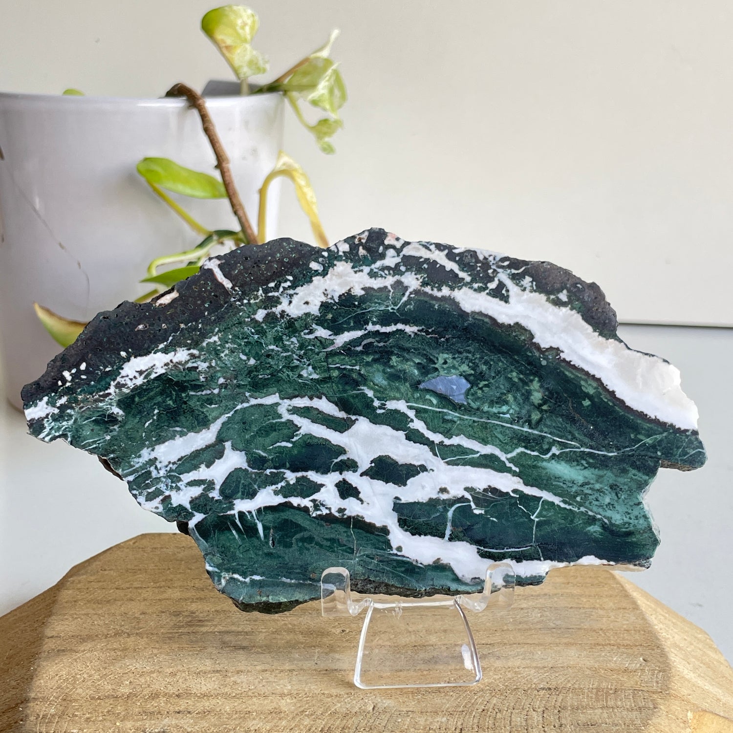 Green Sardonyx Slice 298g