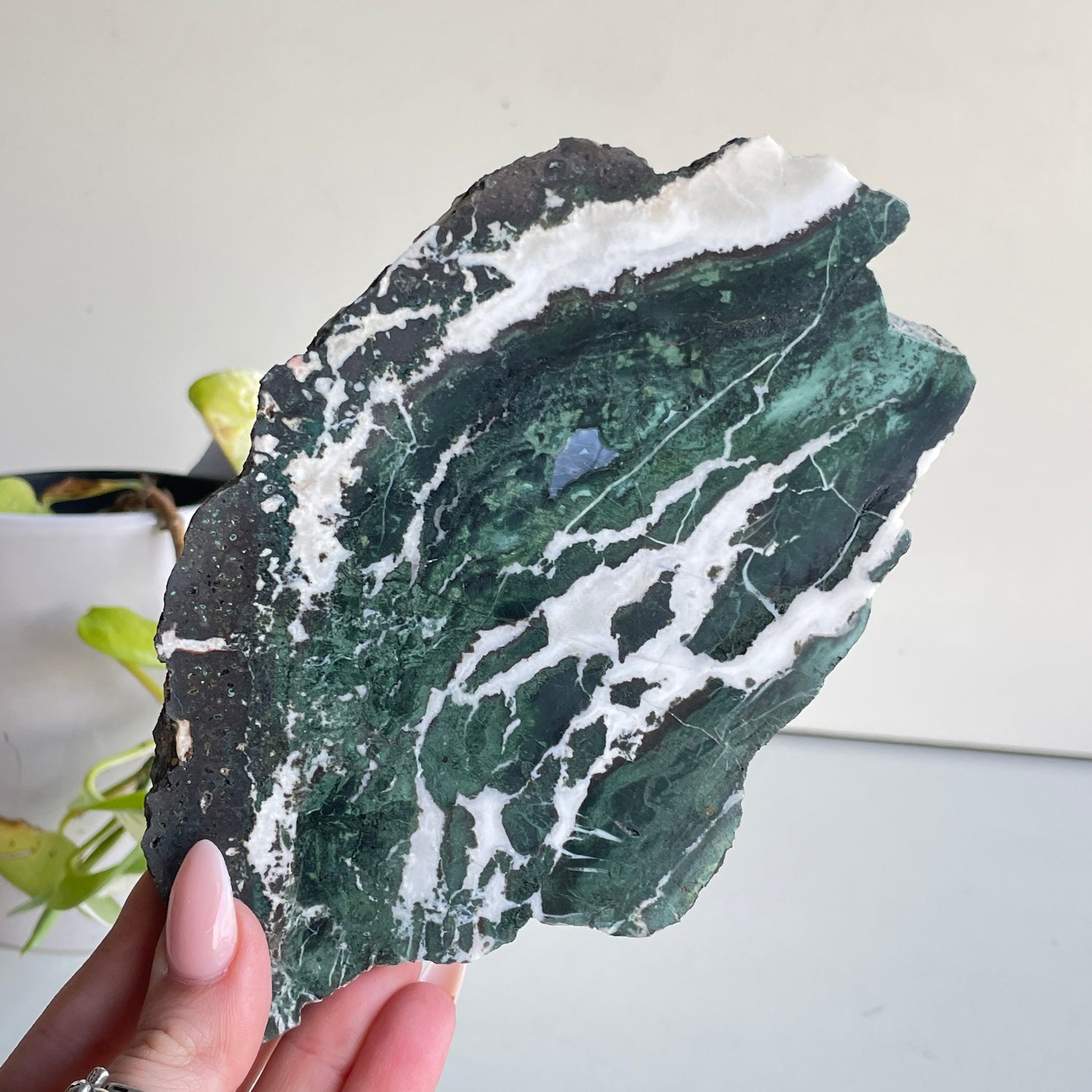 Green Sardonyx Slice 298g