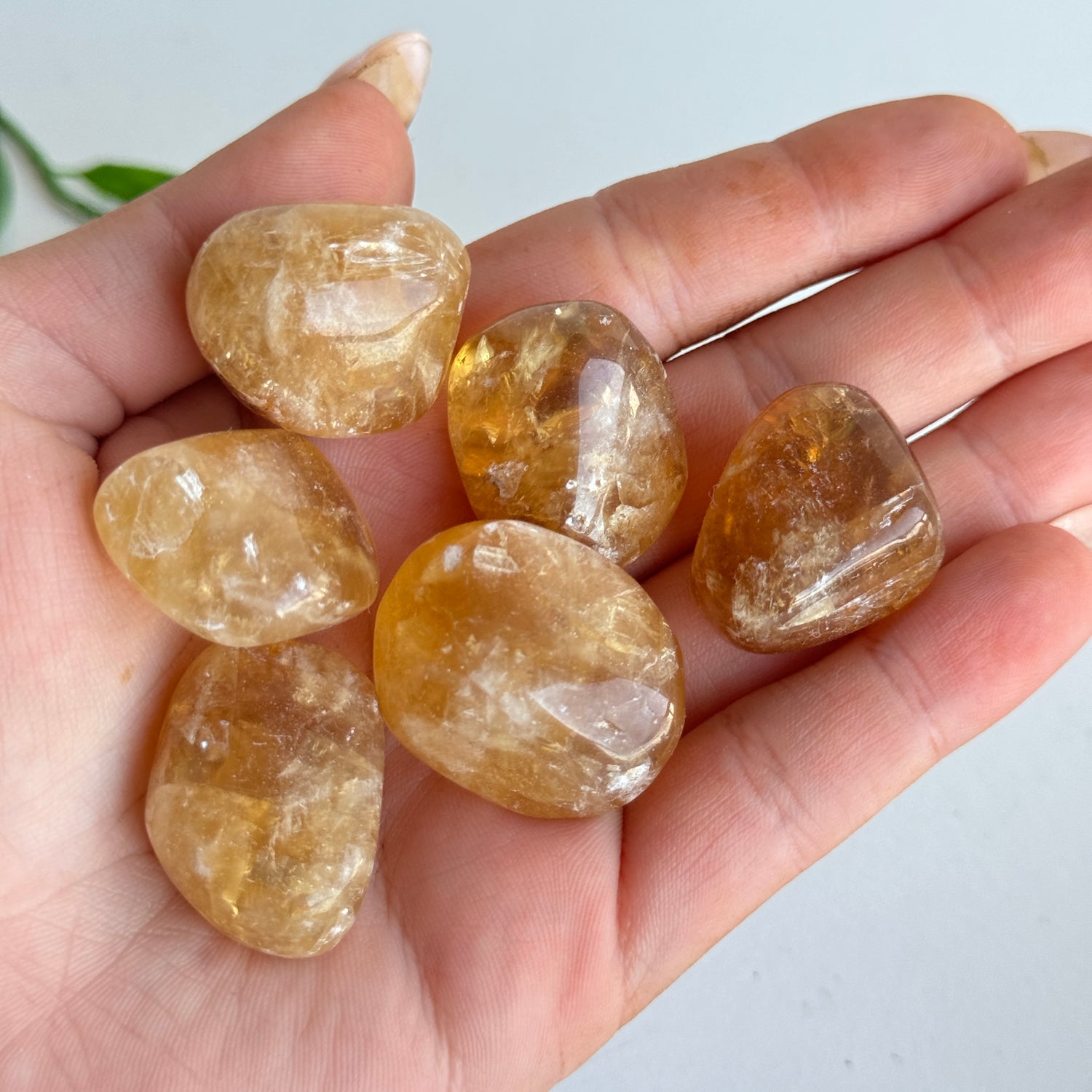 Golden Calcite Tumbled