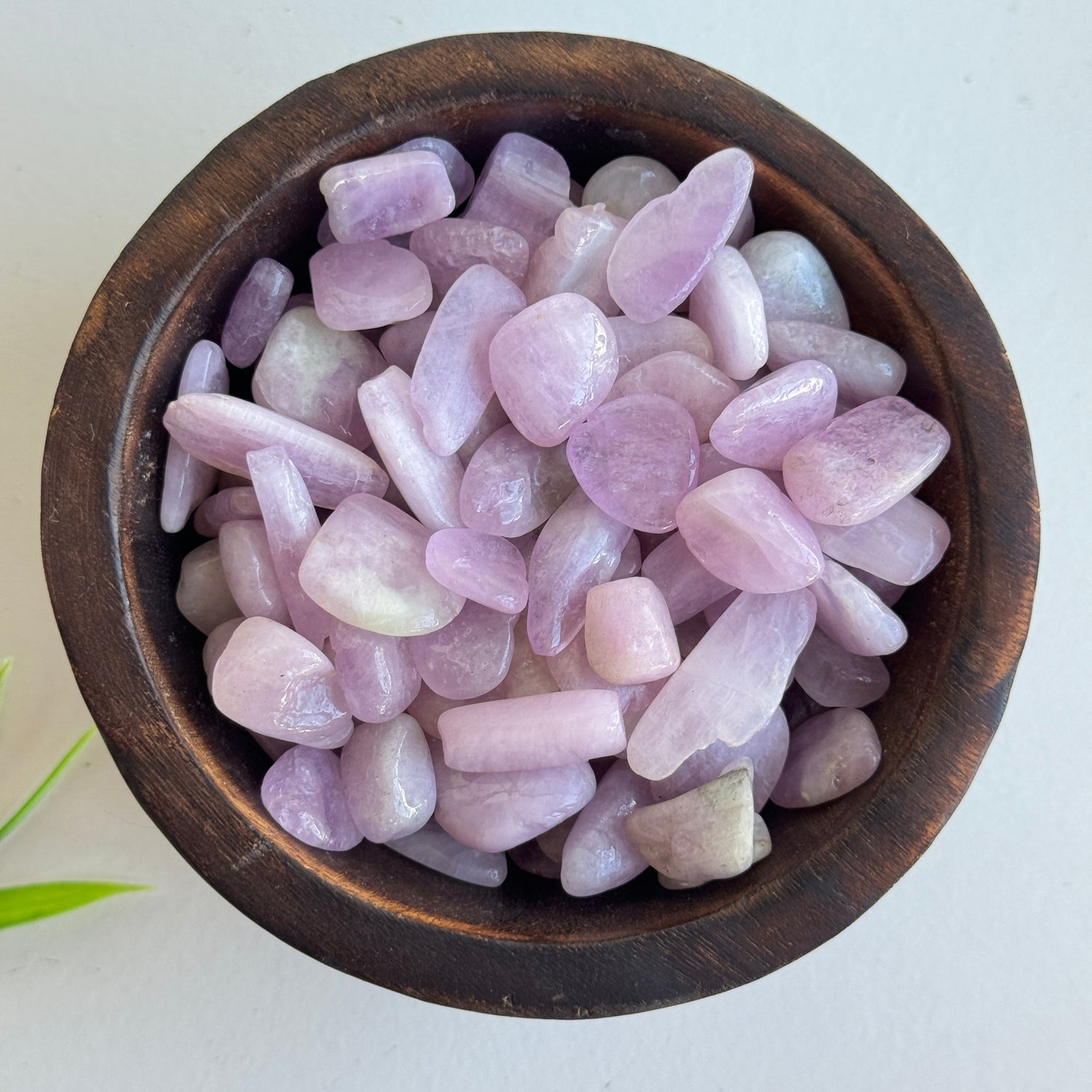 Kunzite Tumbled Sml