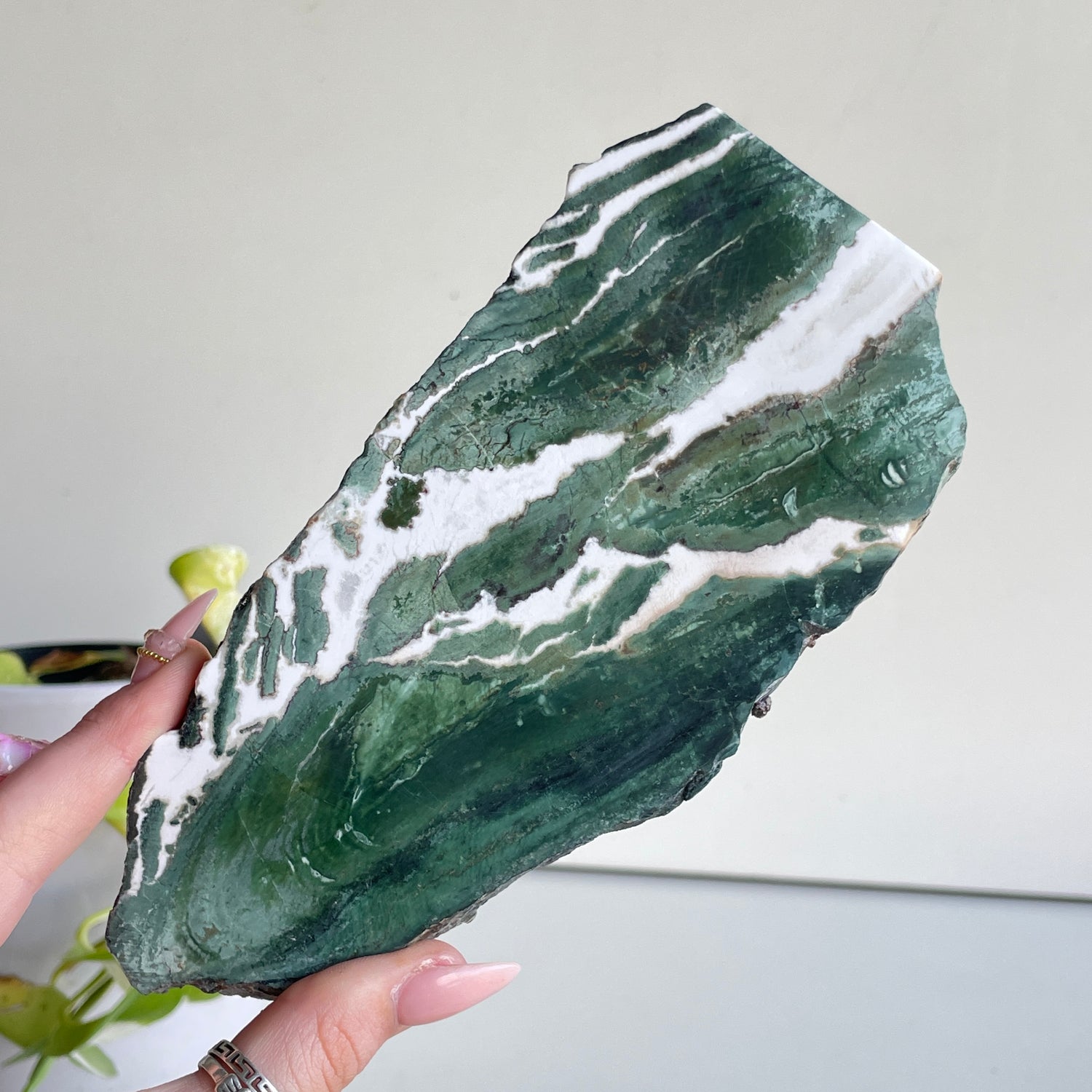 Green Sardonyx Slice 252g