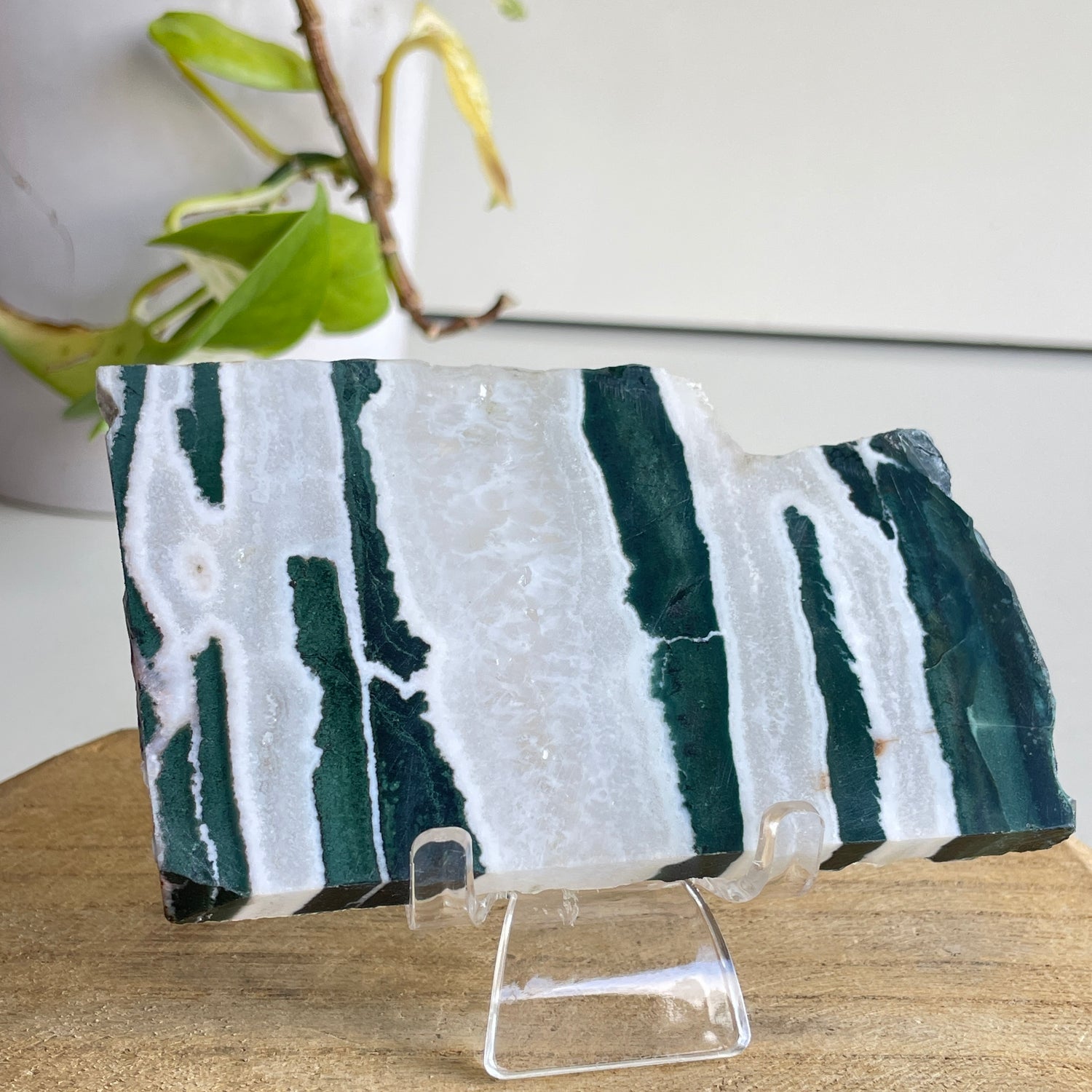 Green Sardonyx Slice 124g
