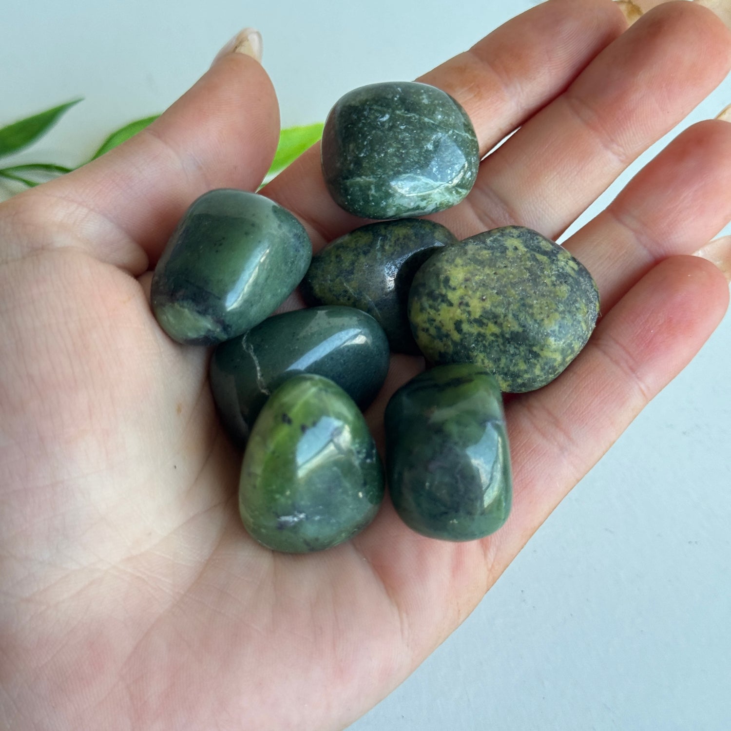 Canadian Jade (Nephrite Jade) Tumbled