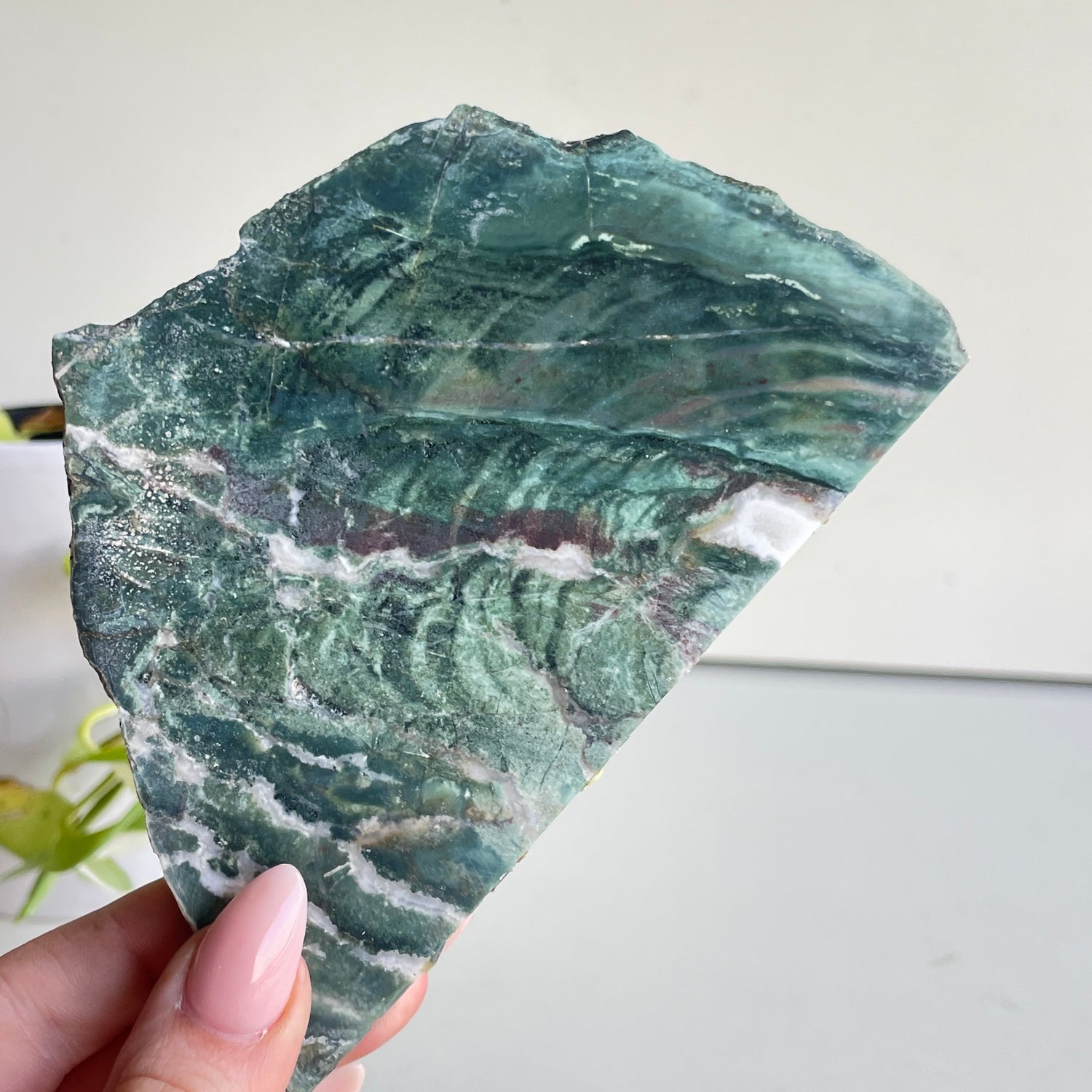 Green Sardonyx Slice 172g