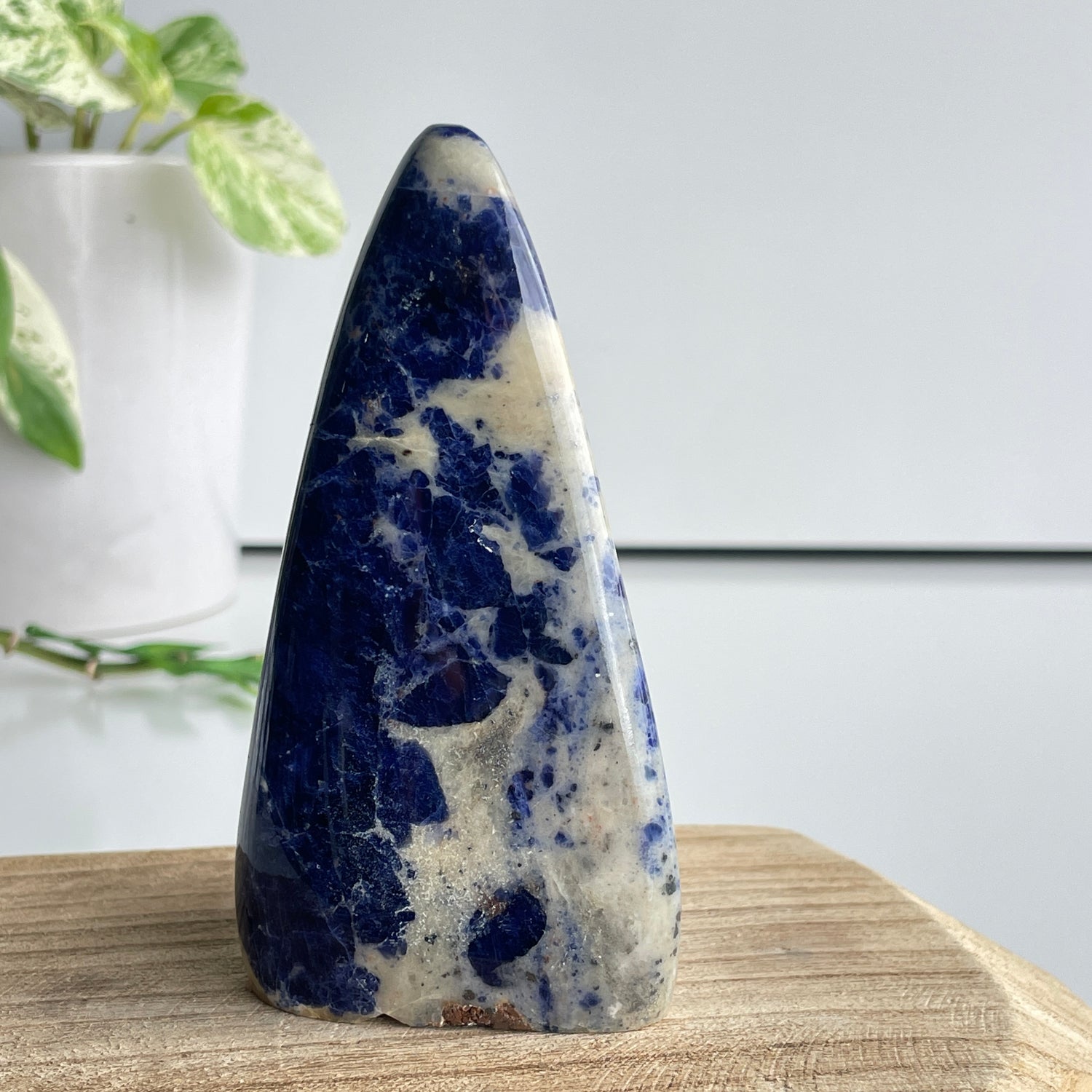 Sodalite High Quality Freeform 11.3cm