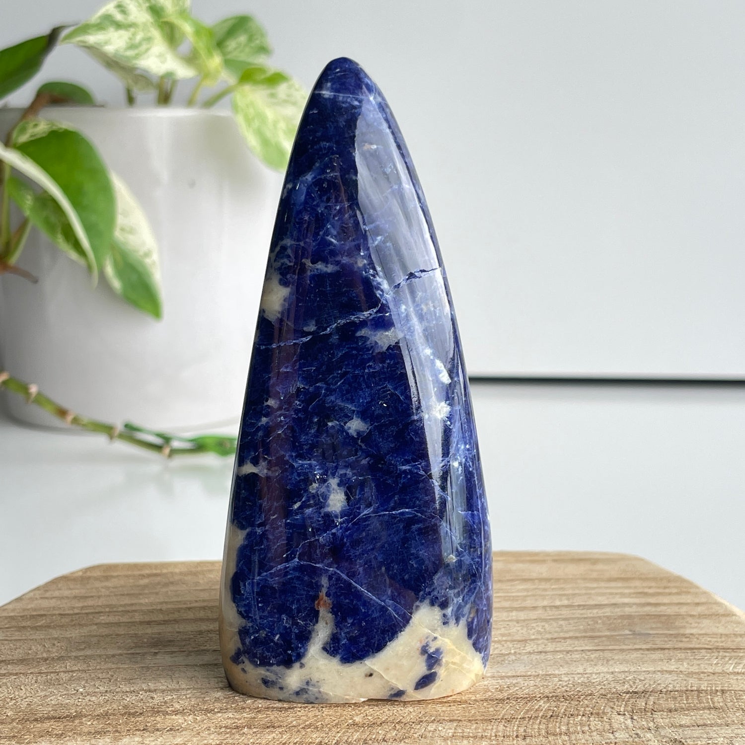 Sodalite High Quality Freeform 11.3cm