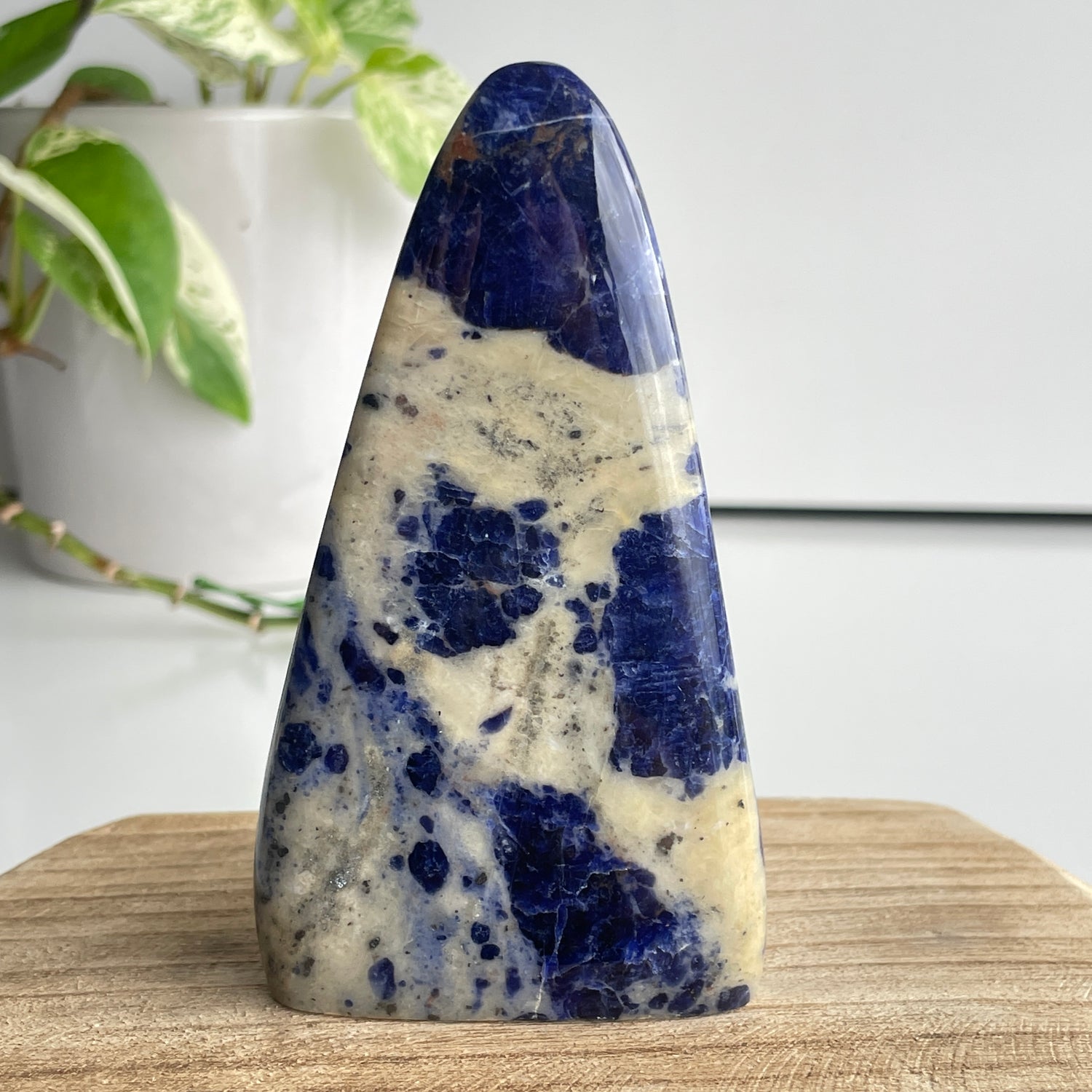 Sodalite High Quality Freeform 11.3cm