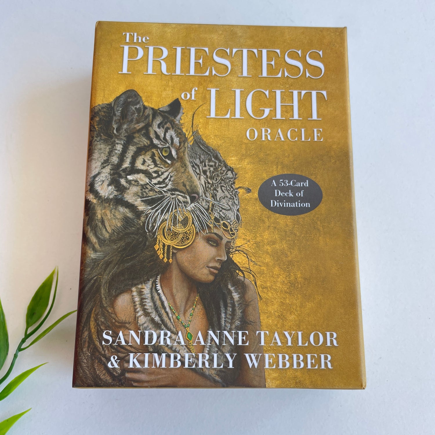 The Priestess Of Light Oracle Sandra Anne Taylor
