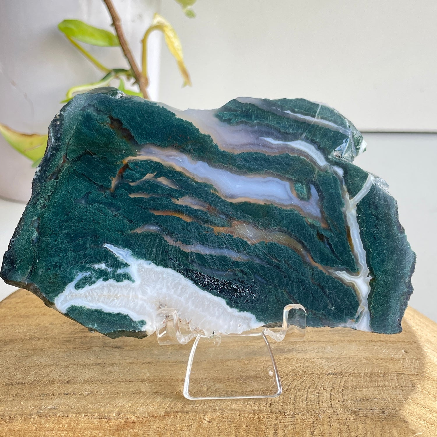 Green Sardonyx Slice 234g