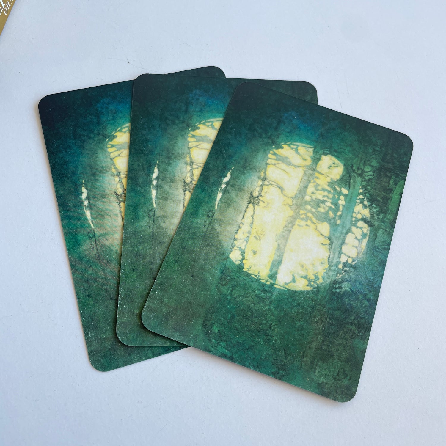 The Priestess Of Light Oracle Sandra Anne Taylor